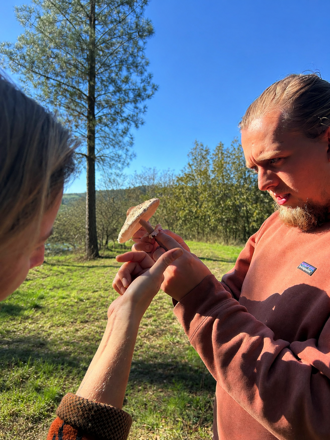 Two people outdoors, one holding a mushroom and the other reaching to touch or examine it, with trees and blue sky in the background.