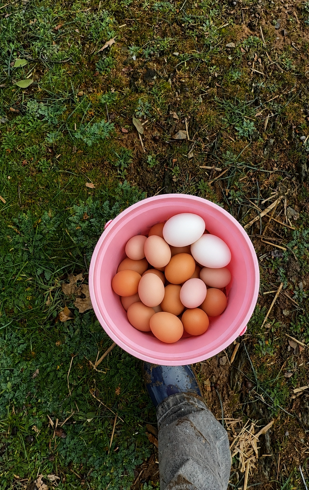 Farm Fresh Family Pack