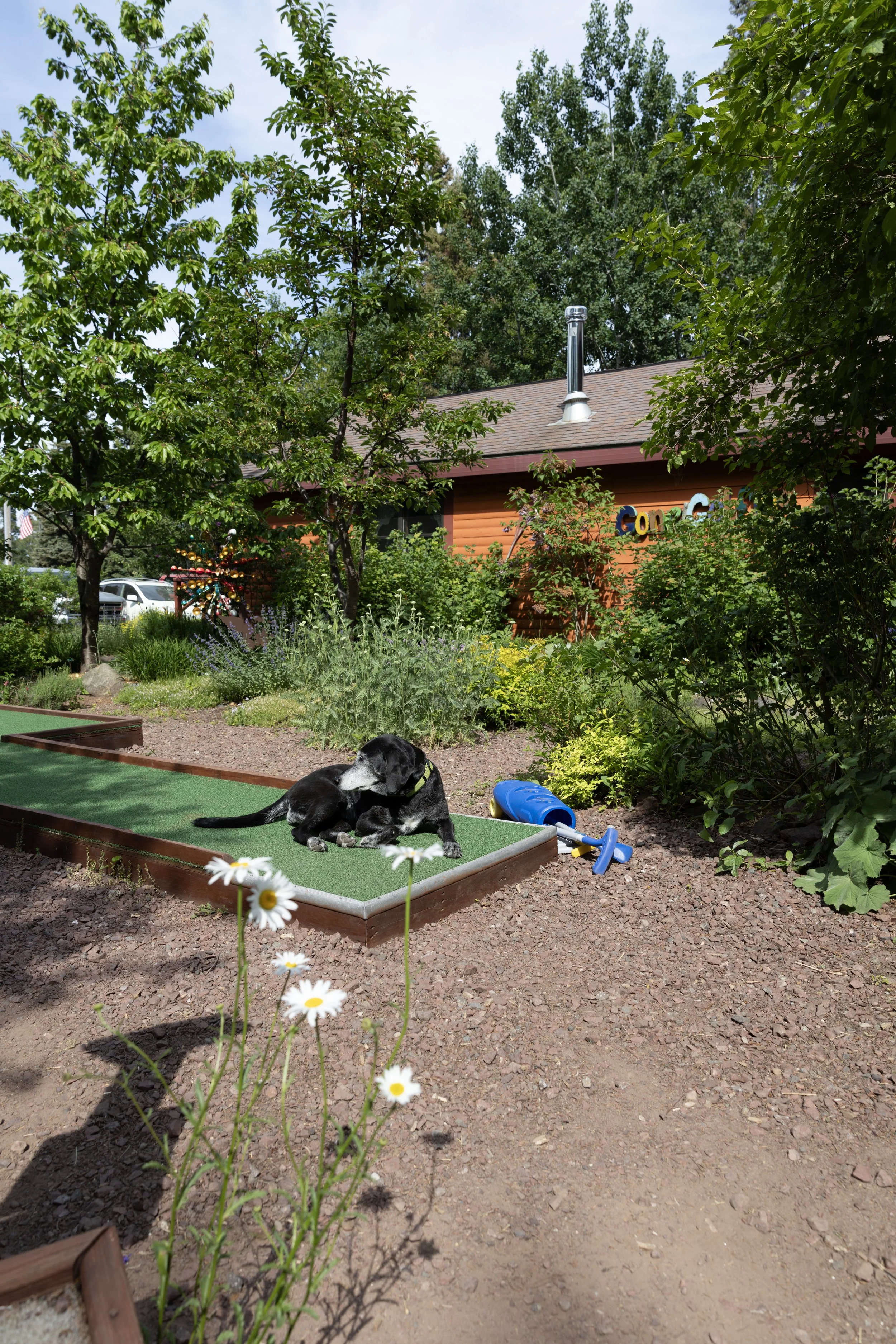 6F8A5479.jpg