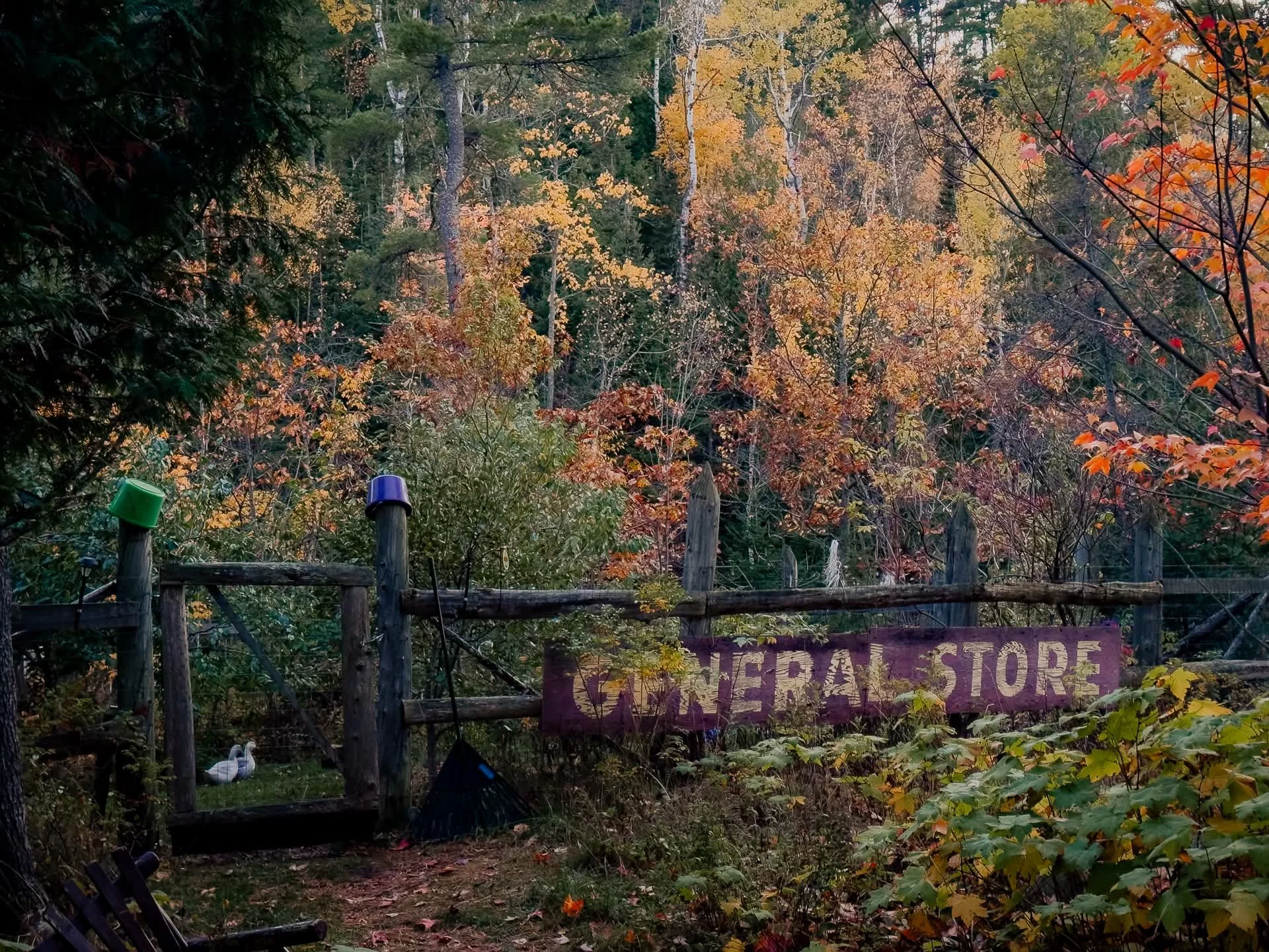 general store.jpeg