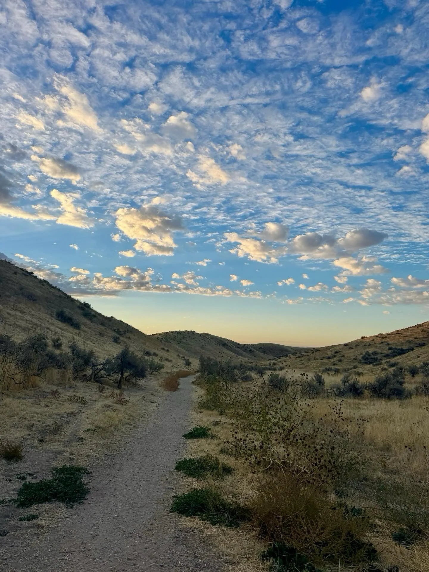 📍HAVYN AROUND TOWN - Harrison Hollow Loop Trail | Boise, ID 🌲🥾

Have you hiked the Harrison Hollow loop trail in Boise yet?! If not, put it on your list! Especially in the fall time! 

Such a pretty spot to get outside, enjoy the views, and get a 