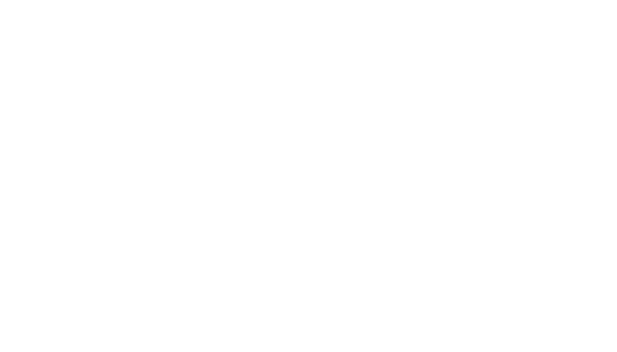 Logo blanc avec une voiture stylisée sous un parapluie et le texte "Edelien orthopédie".