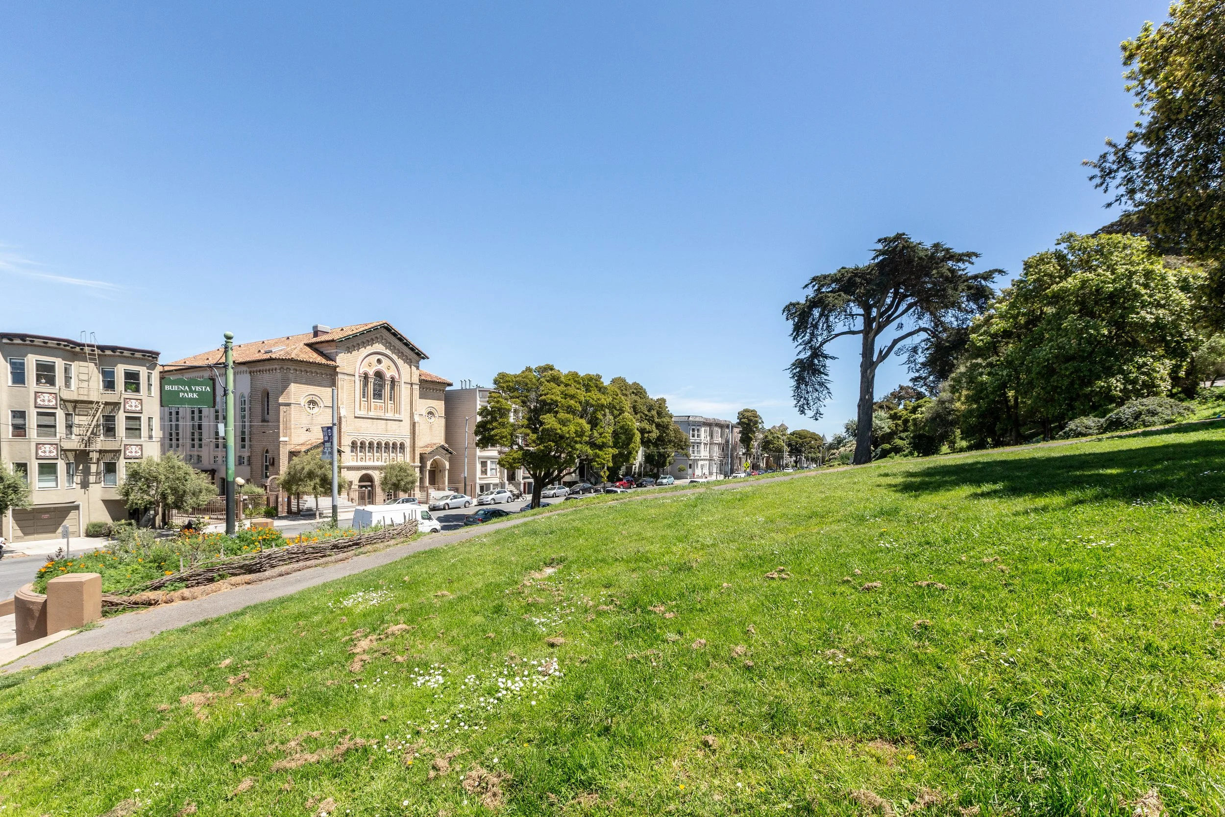 A green park with a grassy lawn, a path, and trees, with buildings and a street in the background under a clear blue sky.
