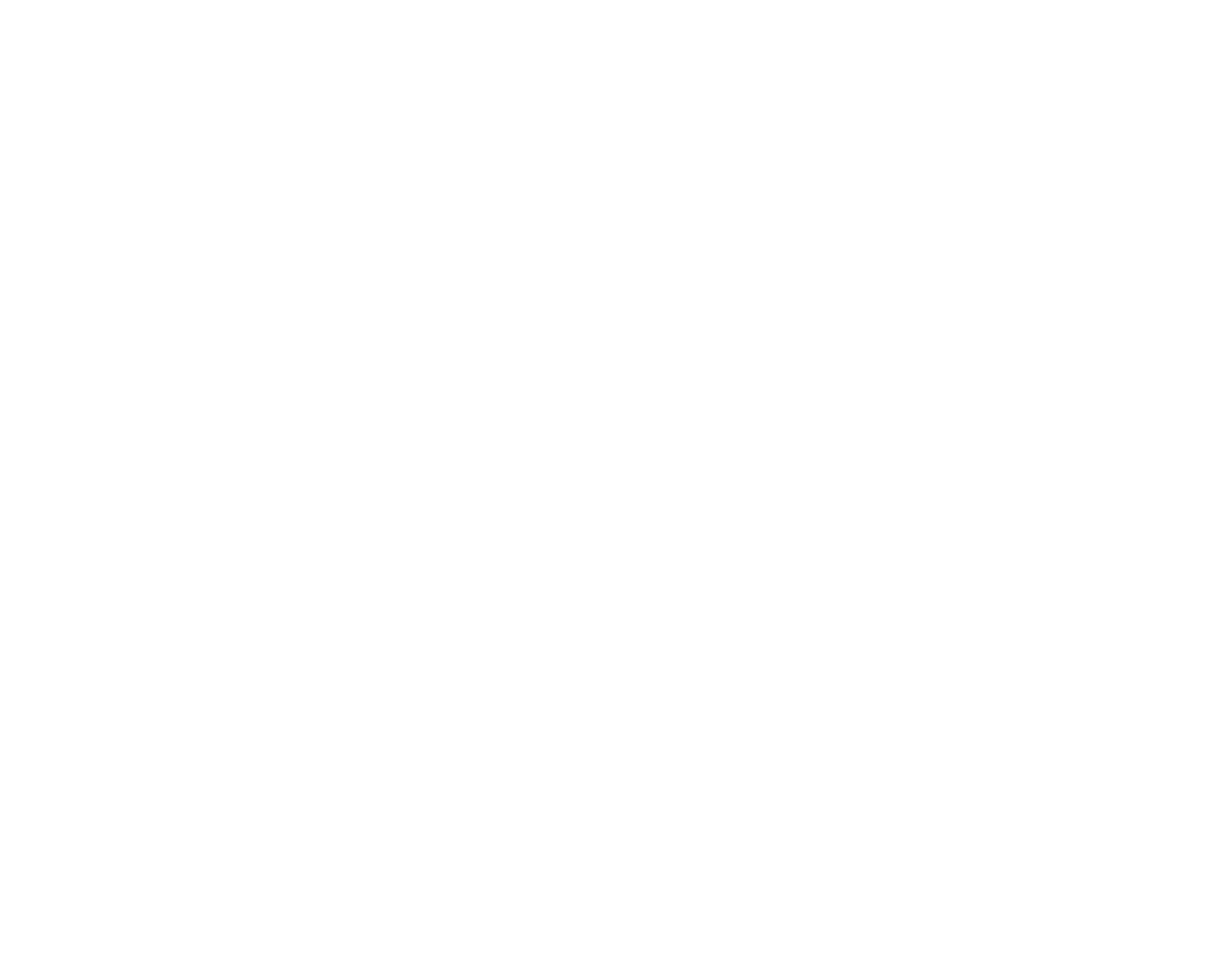 King the Chef