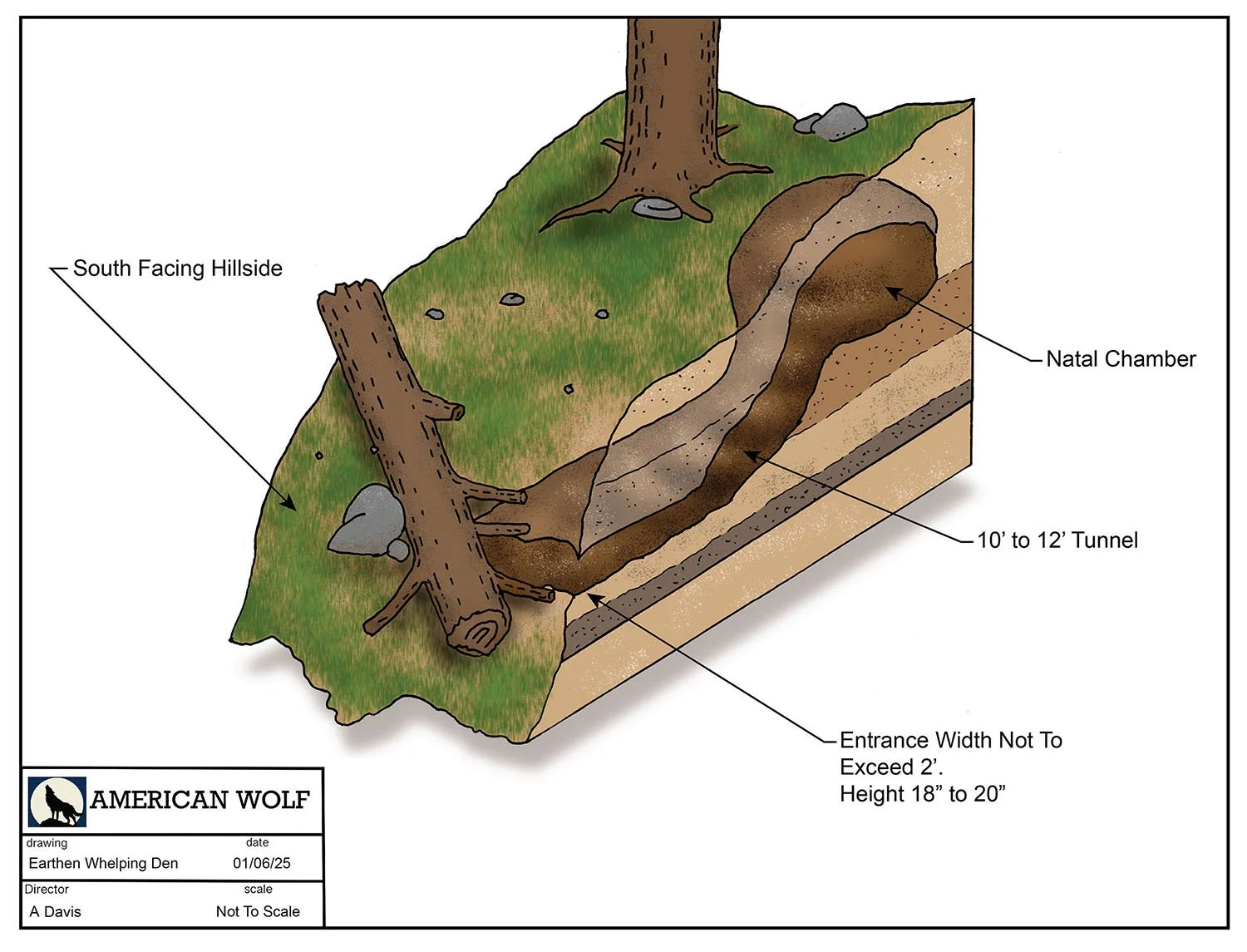 american wolf den