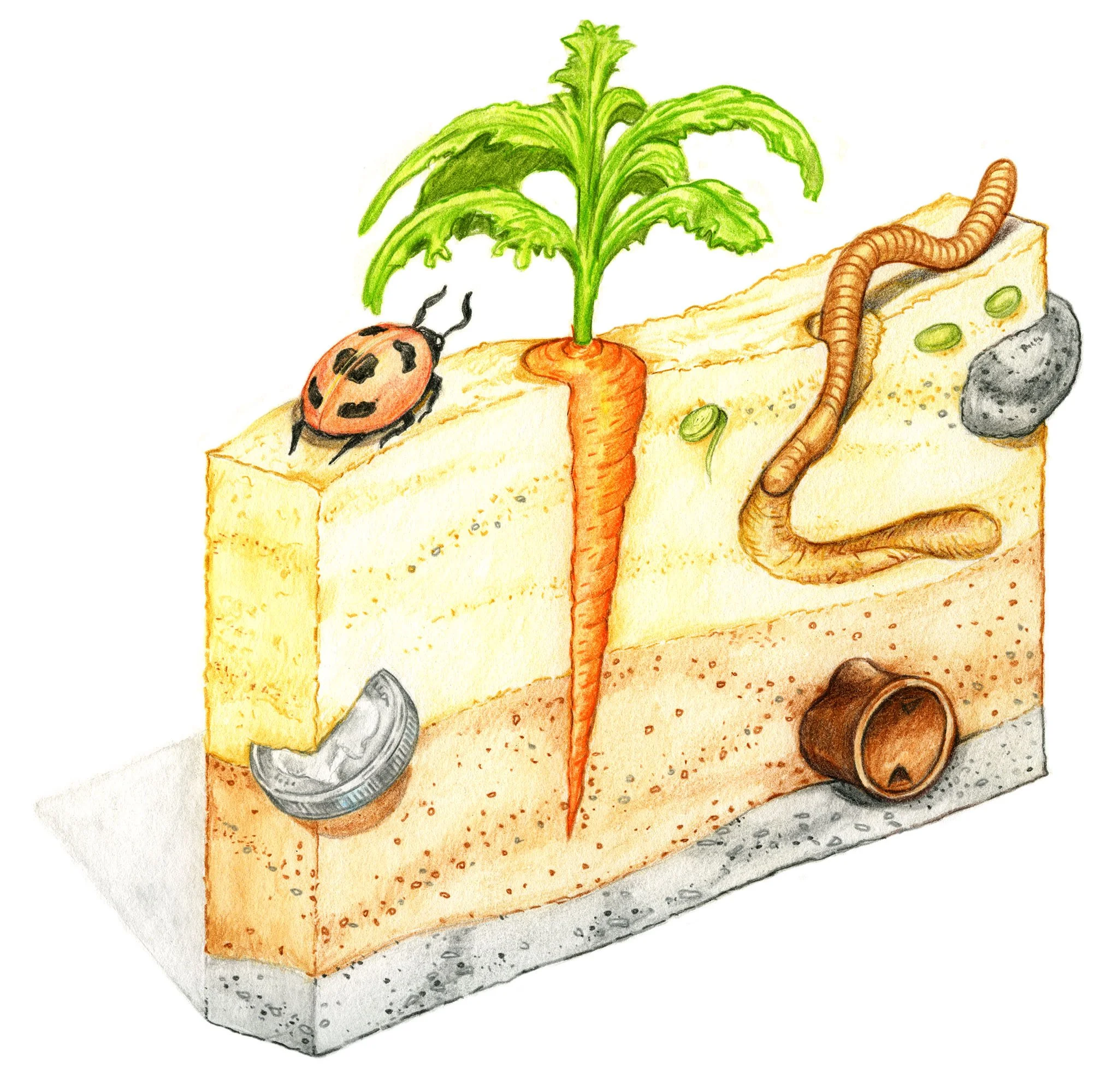 museum visual for children earth cutaway