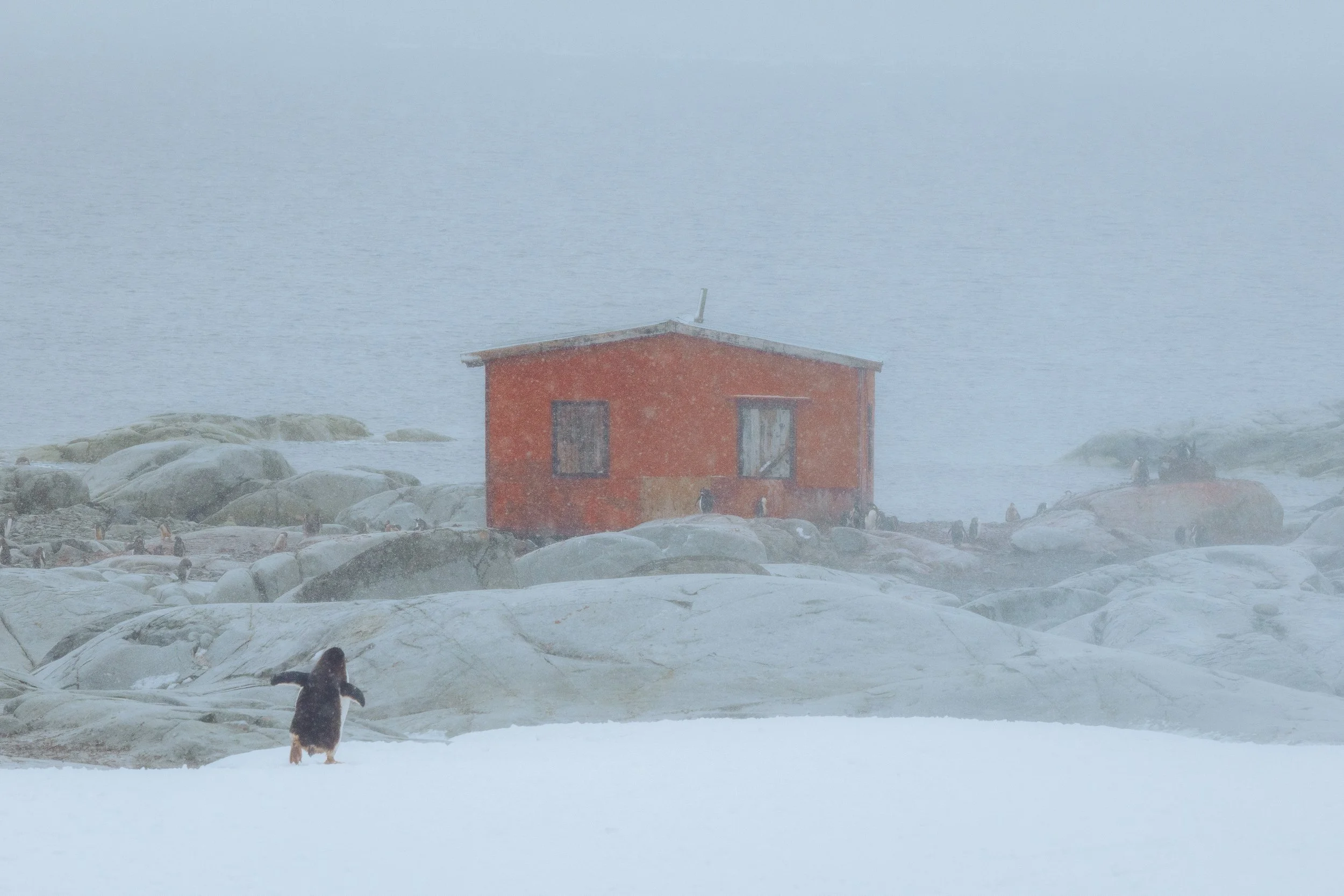 Antarctica