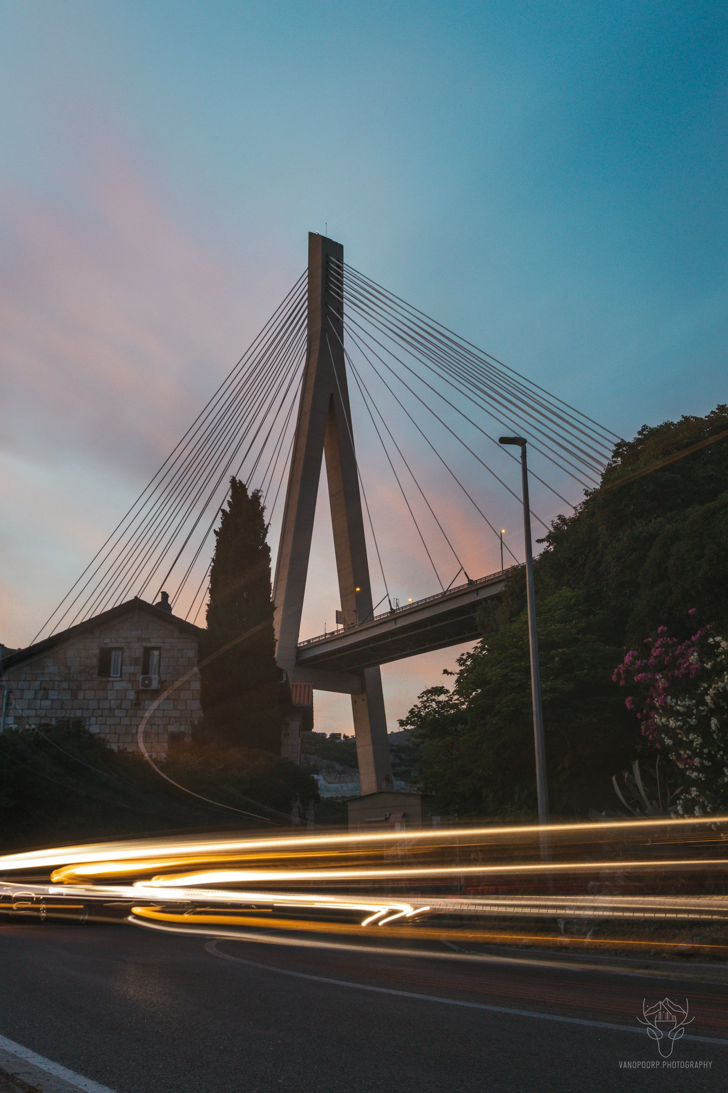 Golden Lights