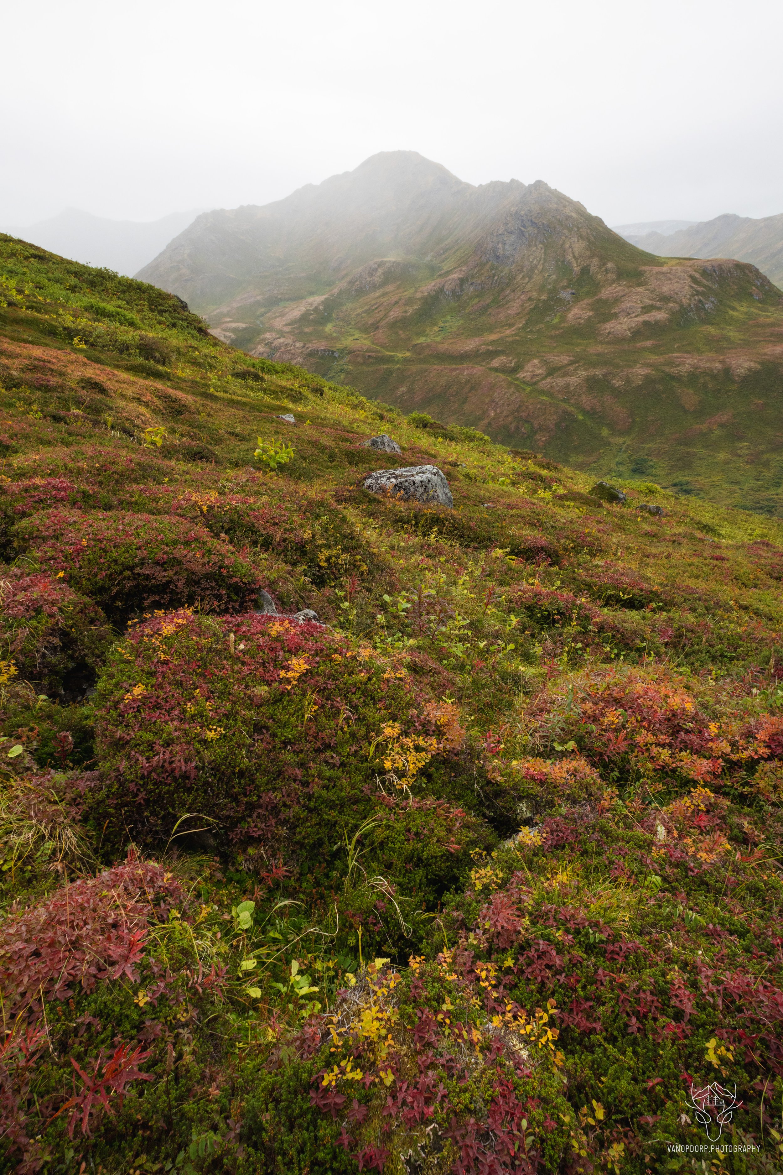 alaska-4.jpg