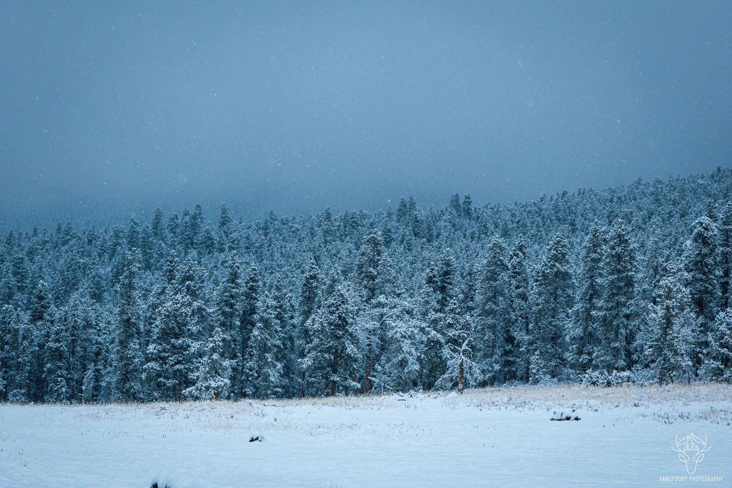 colorado-12.jpg