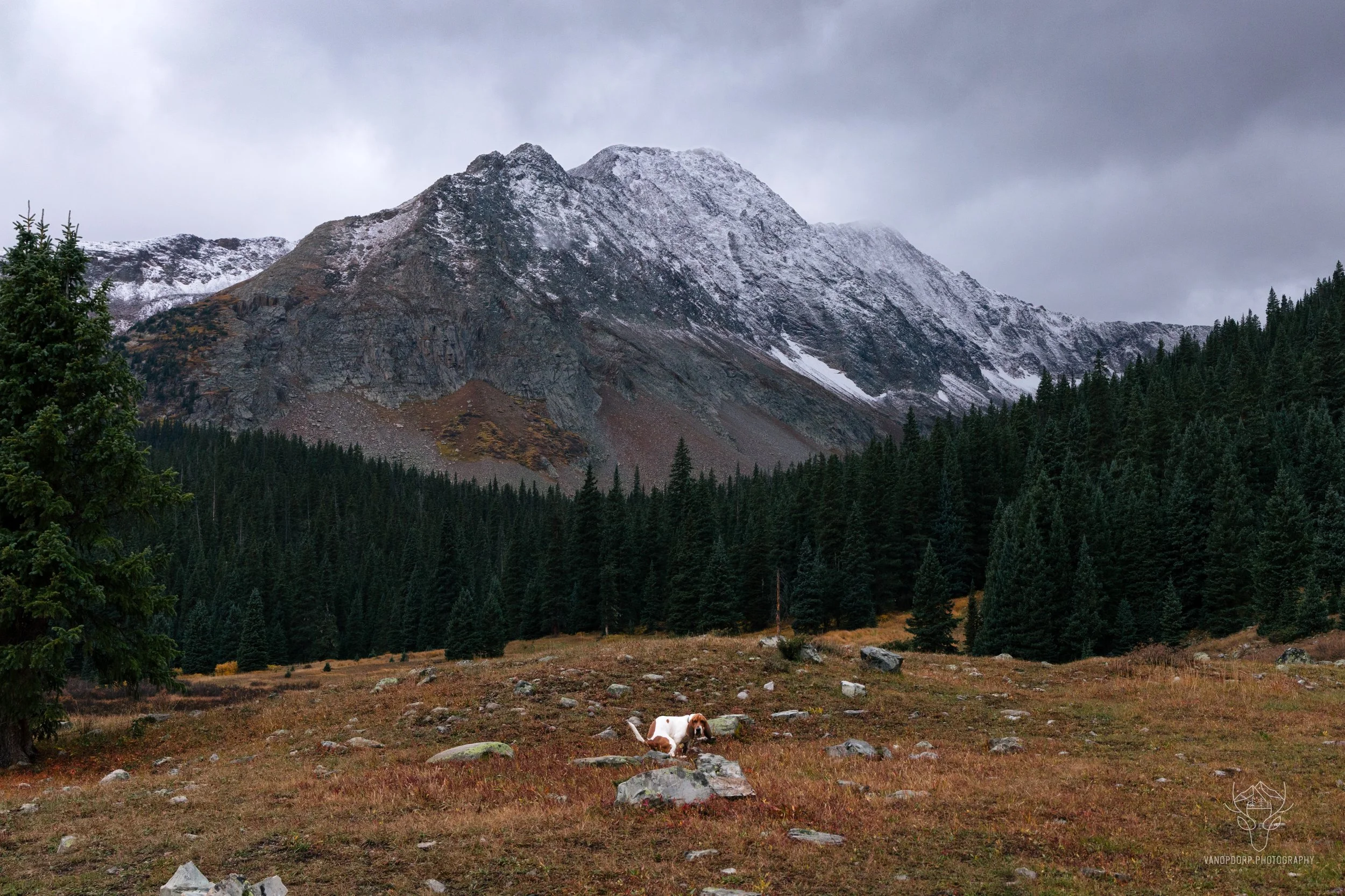 colorado-57.jpg