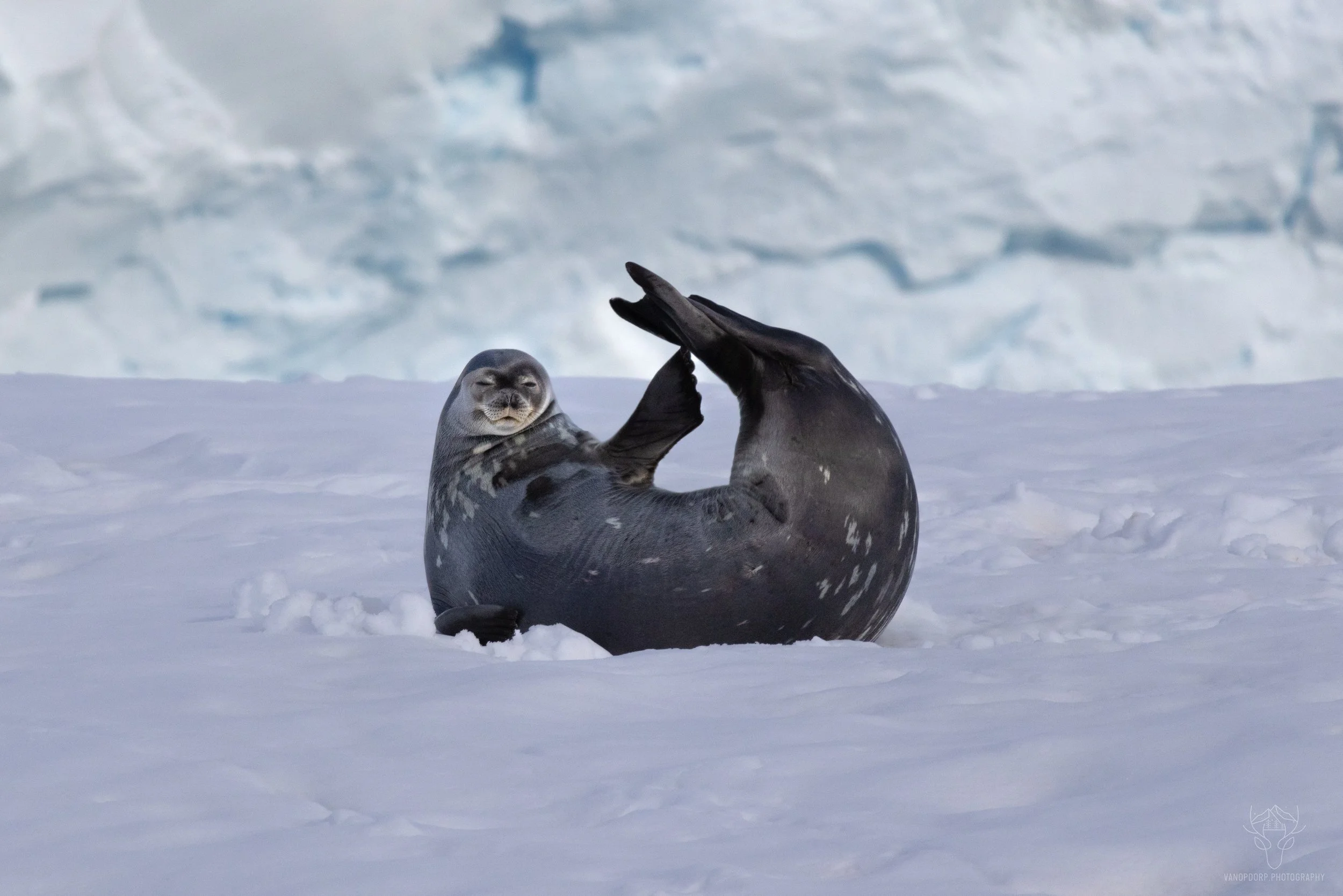 antarctica-20.jpg