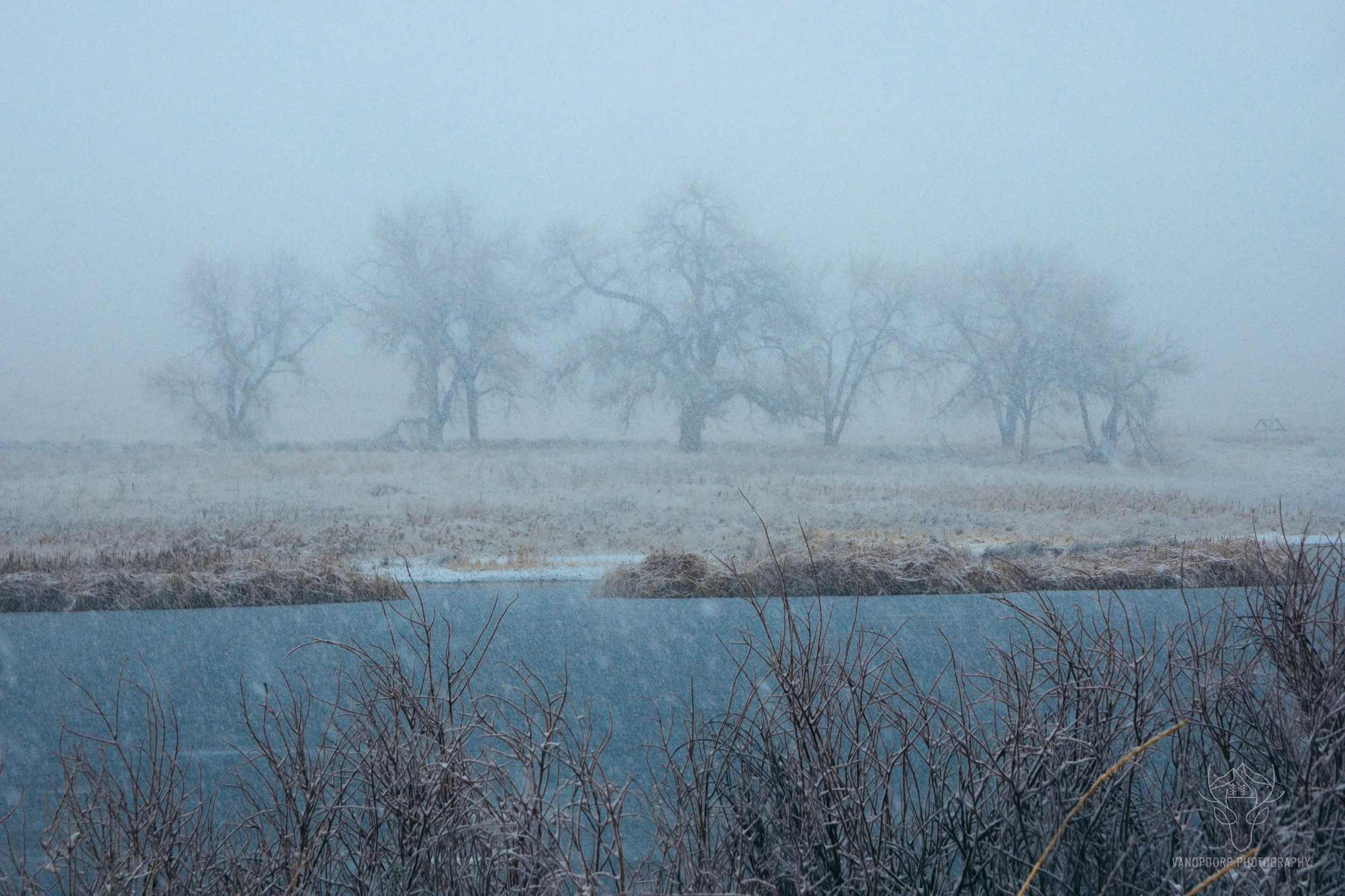 colorado-54.jpg