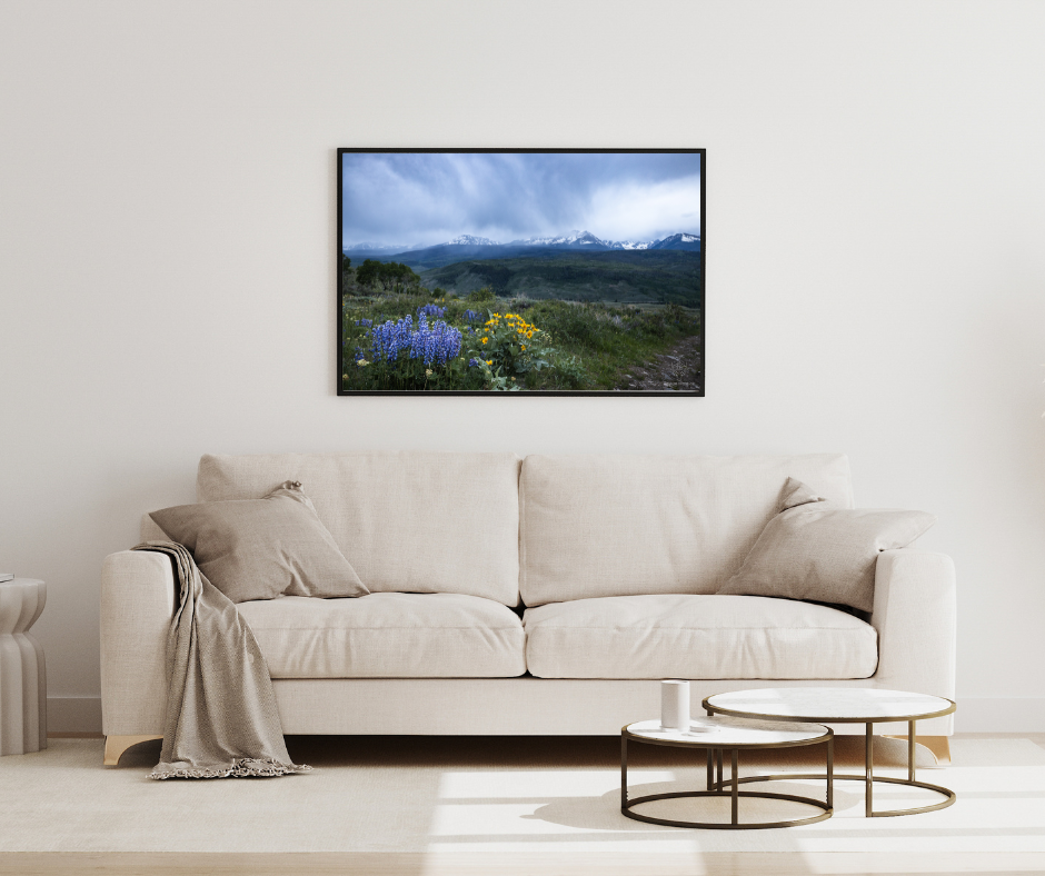 silverthorne spring mockup.png