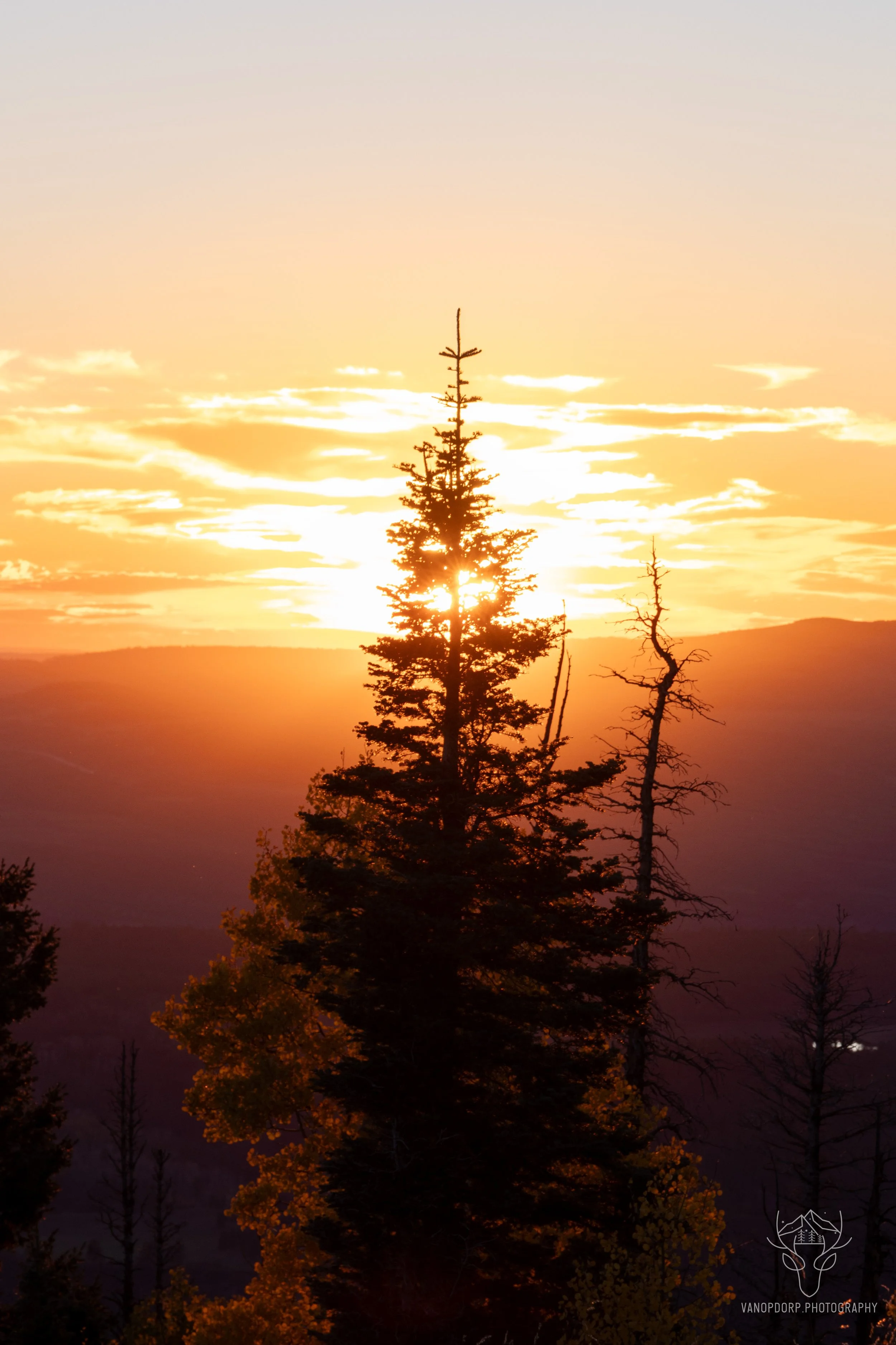 colorado-45.jpg
