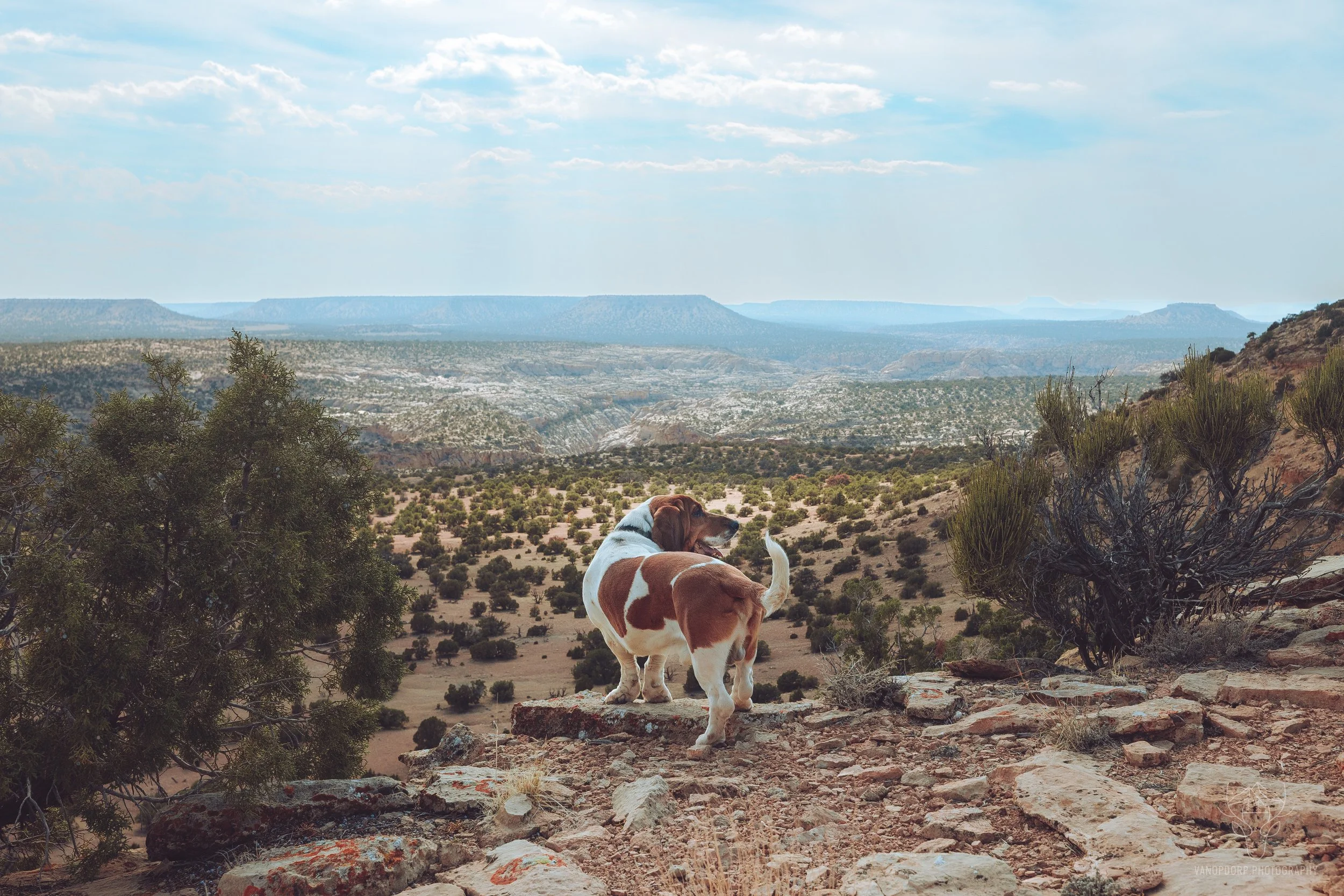 utah-1.jpg