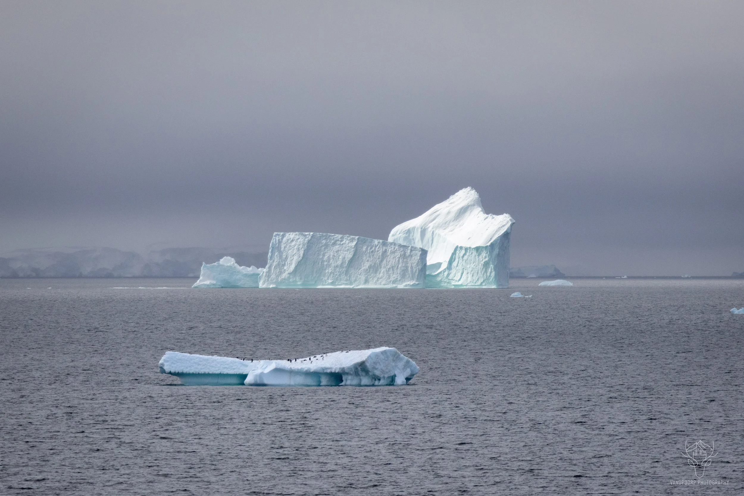 antarctica-25.jpg