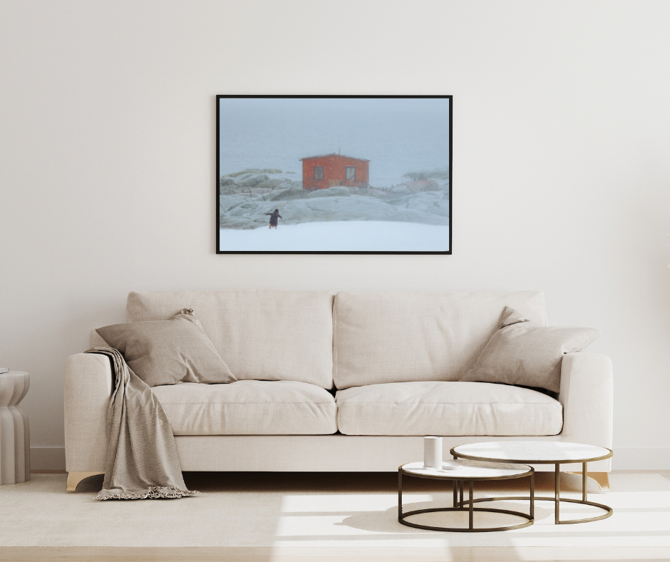 penguin hut mockup.png