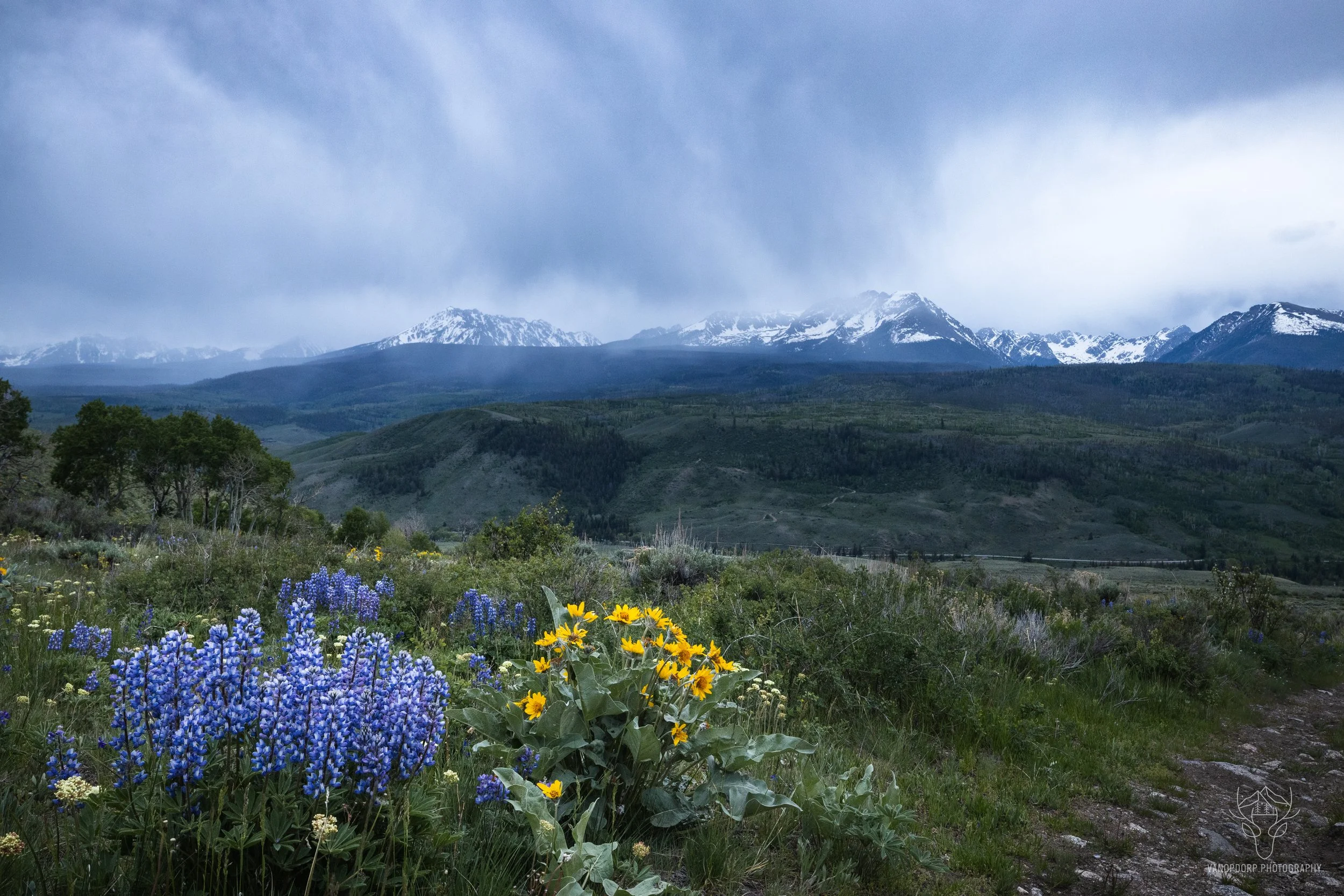 Silverthorne Spring