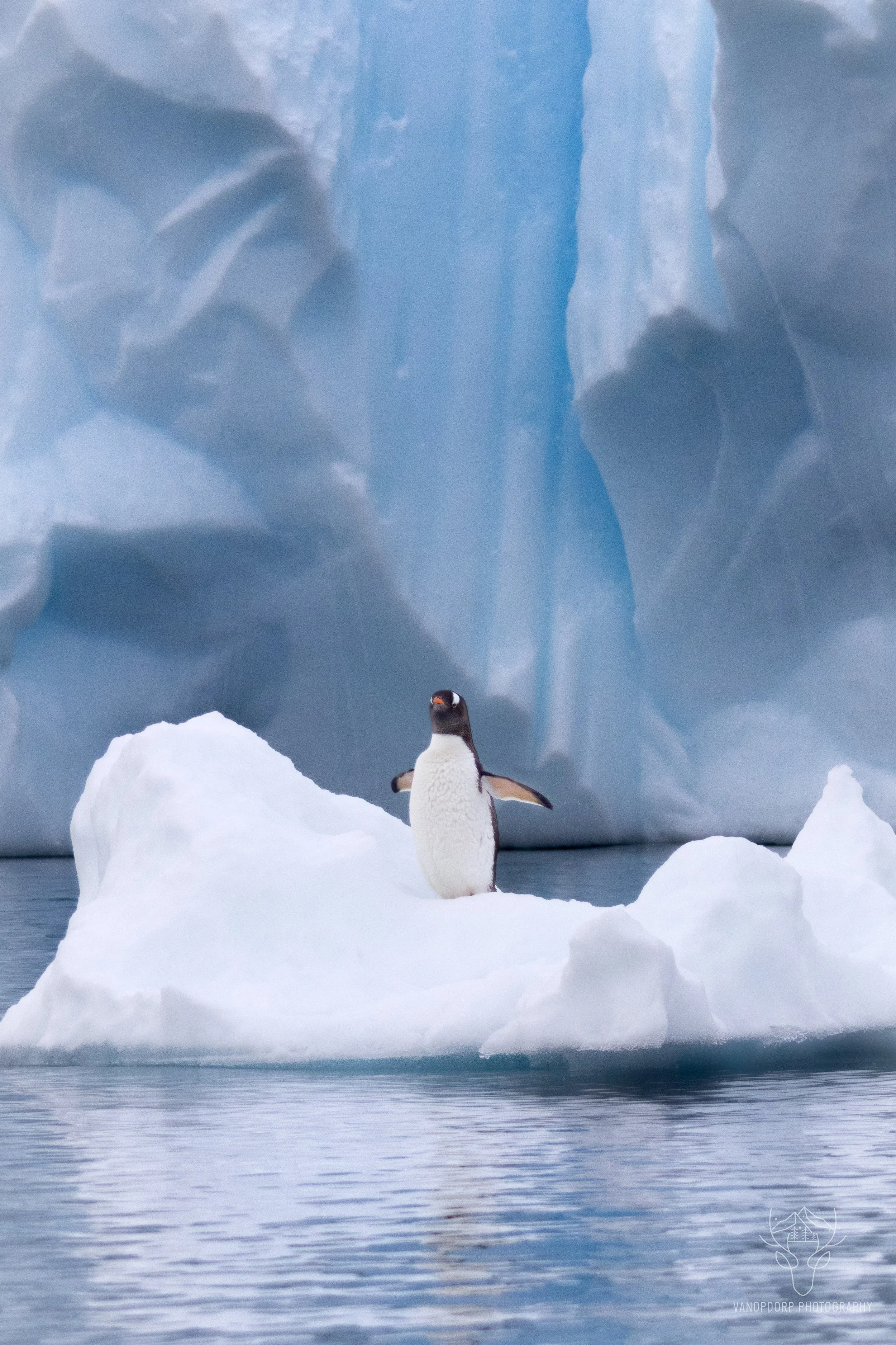 antarctica-22.jpg