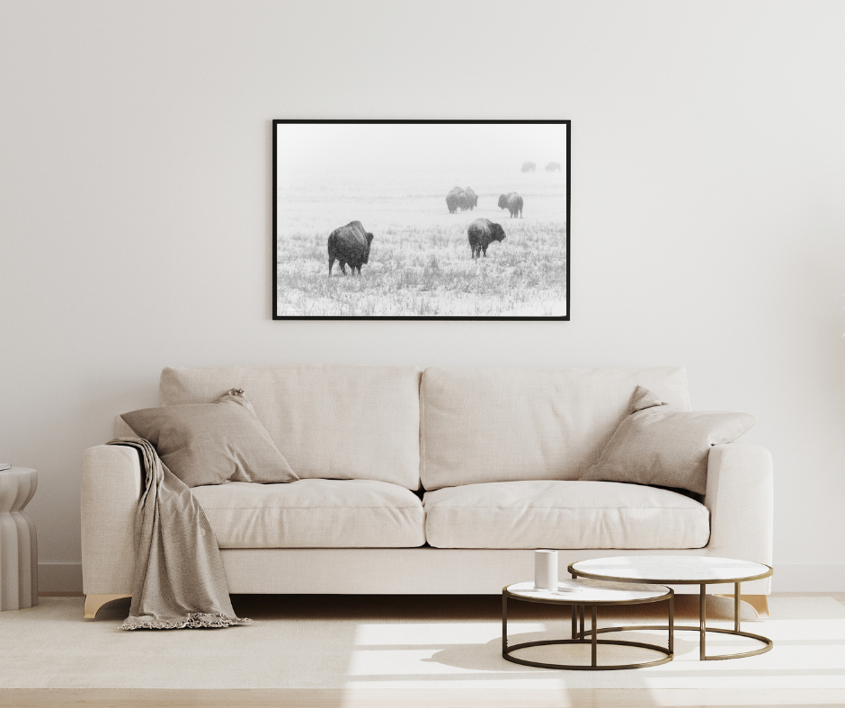 banished bison mockup.png