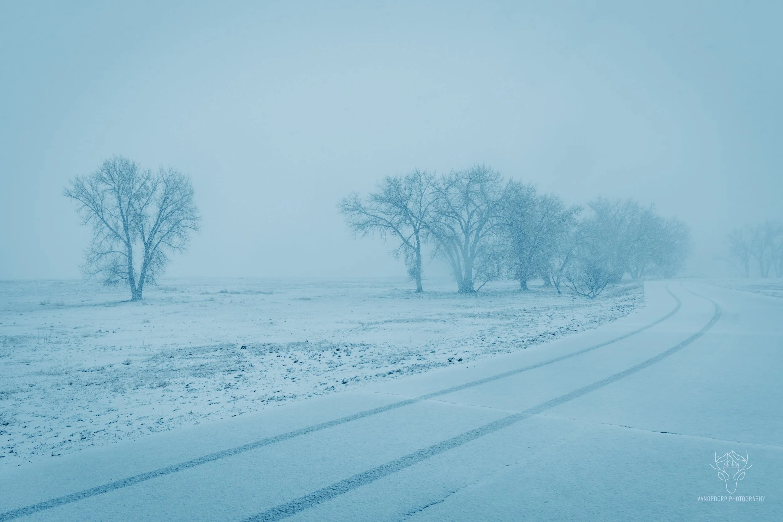 colorado-53.jpg