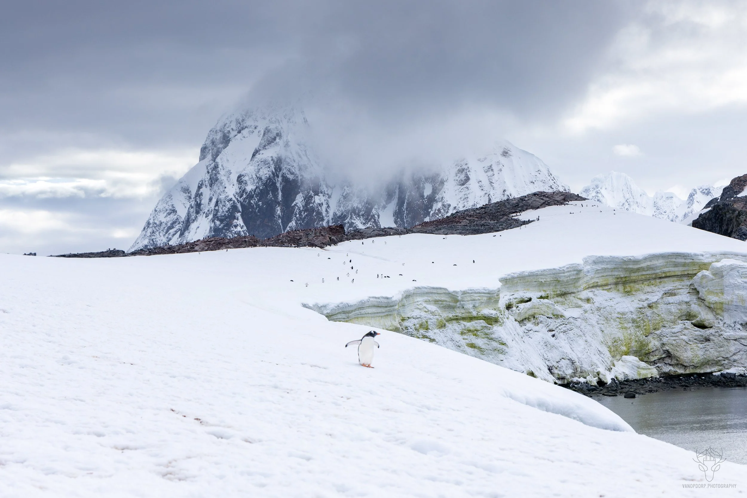 antarctica-14.jpg