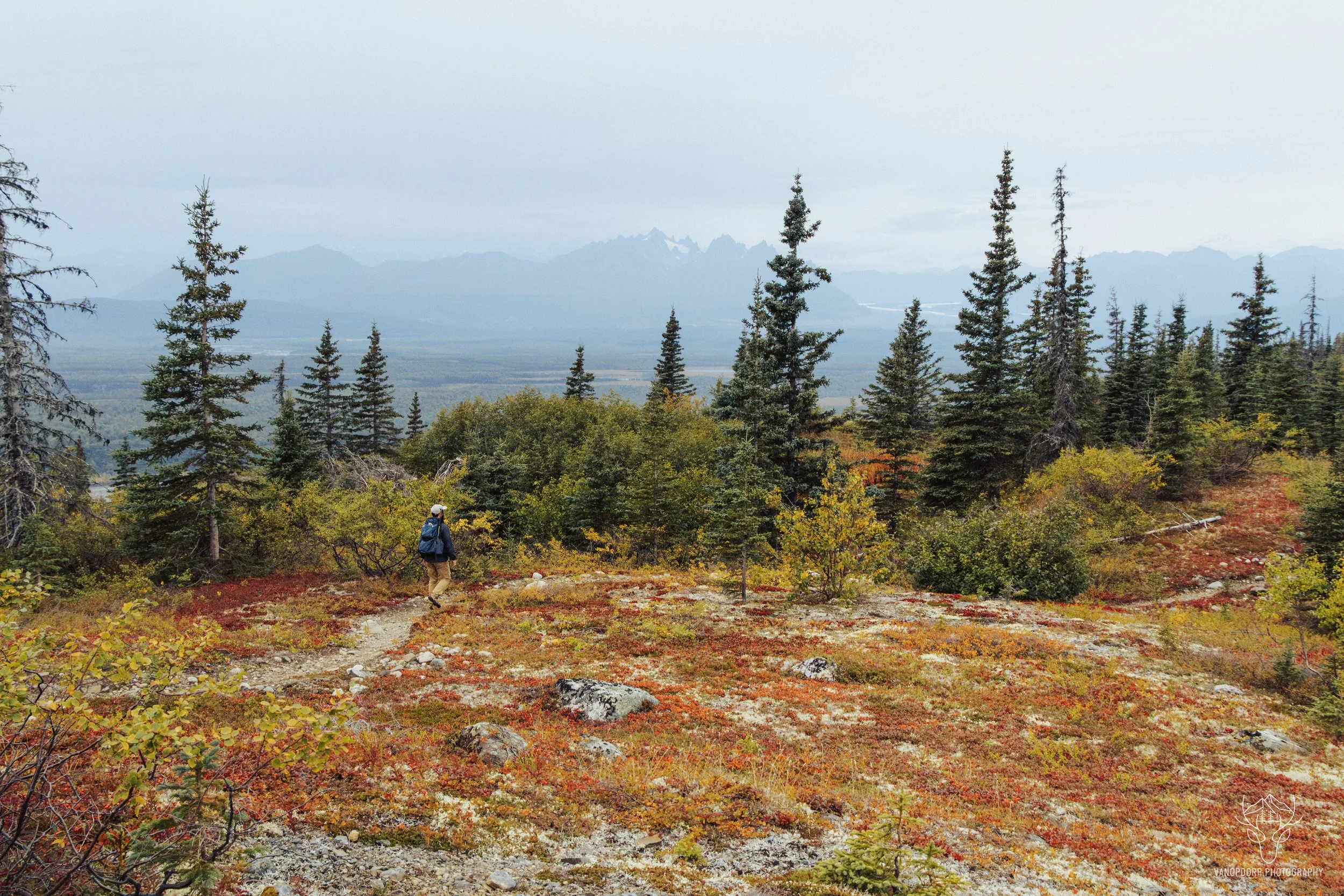 alaska-1.jpg