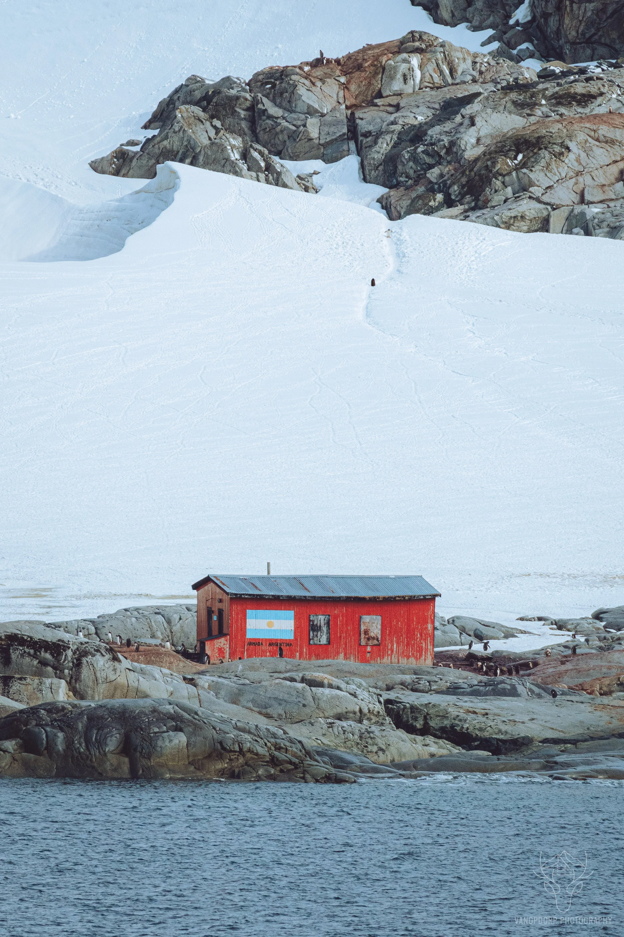 antarctica-11.jpg