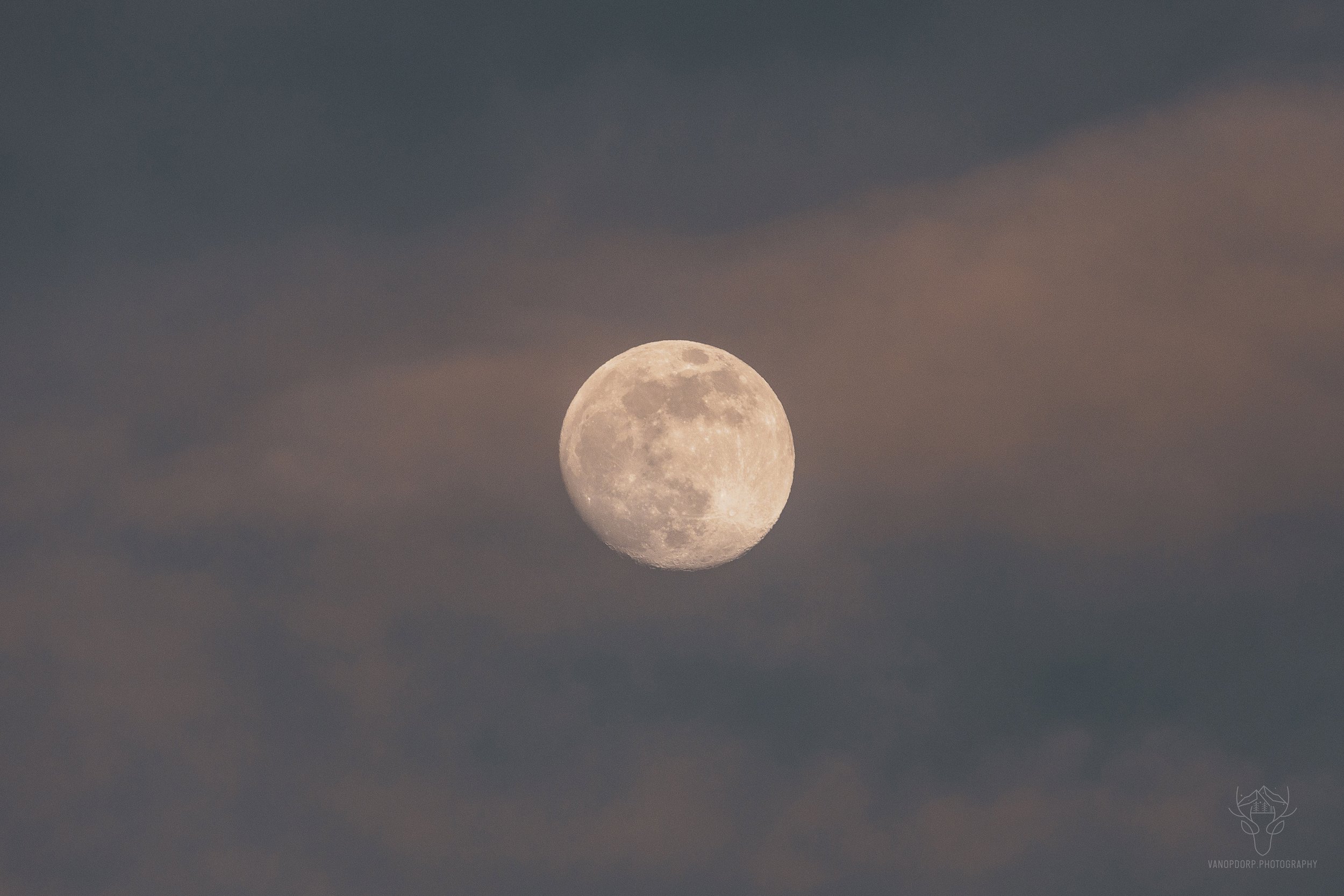 astrophoto-13.jpg