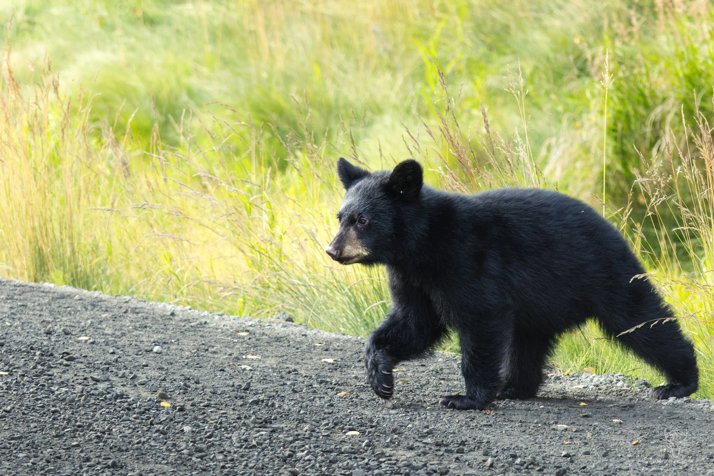 alaska-15.jpg