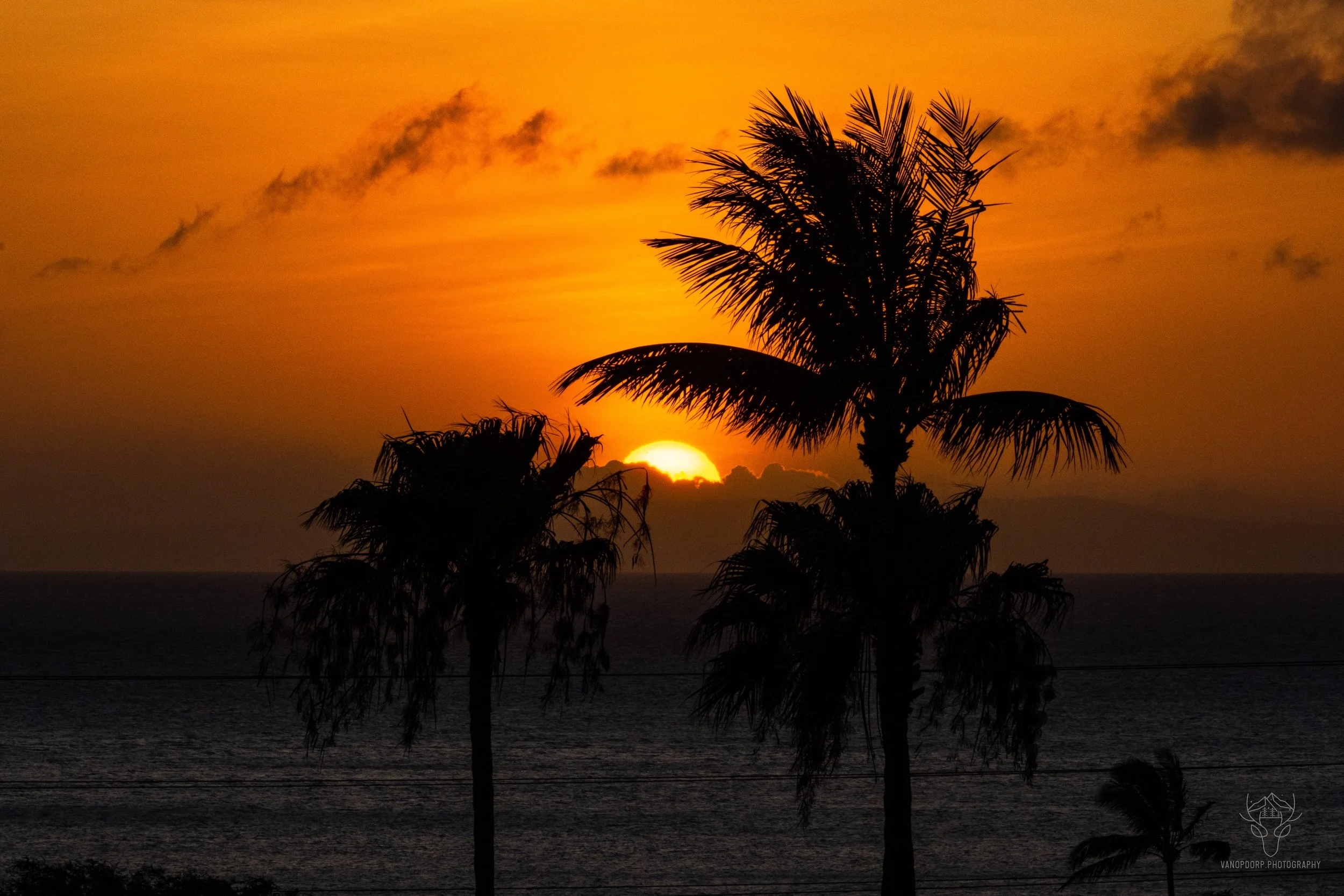 hawaii-3.jpg