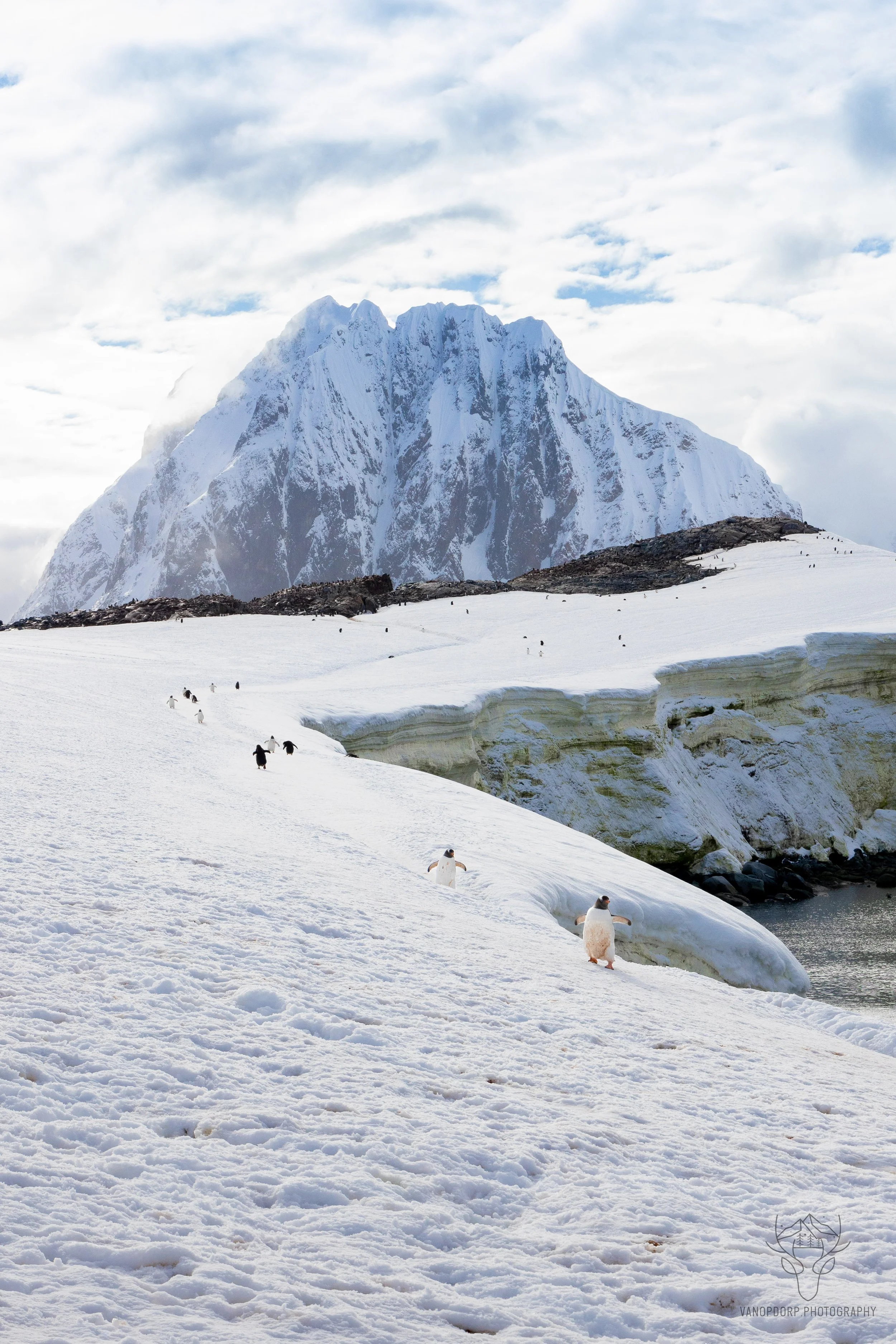 antarctica-19.jpg