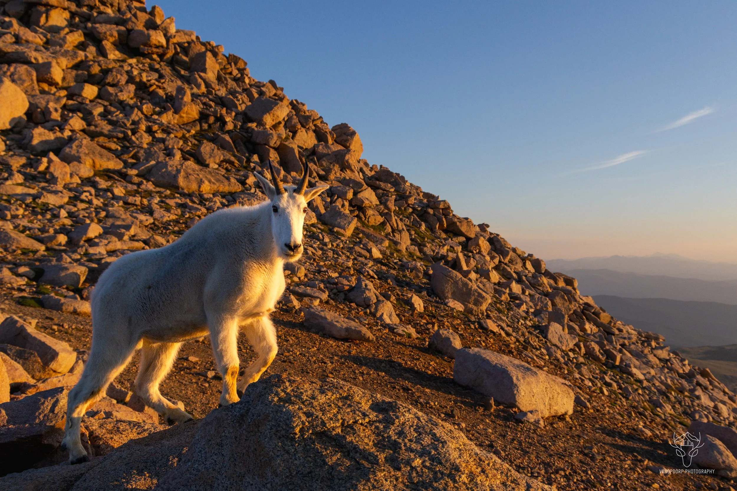 wildlife-49.jpg