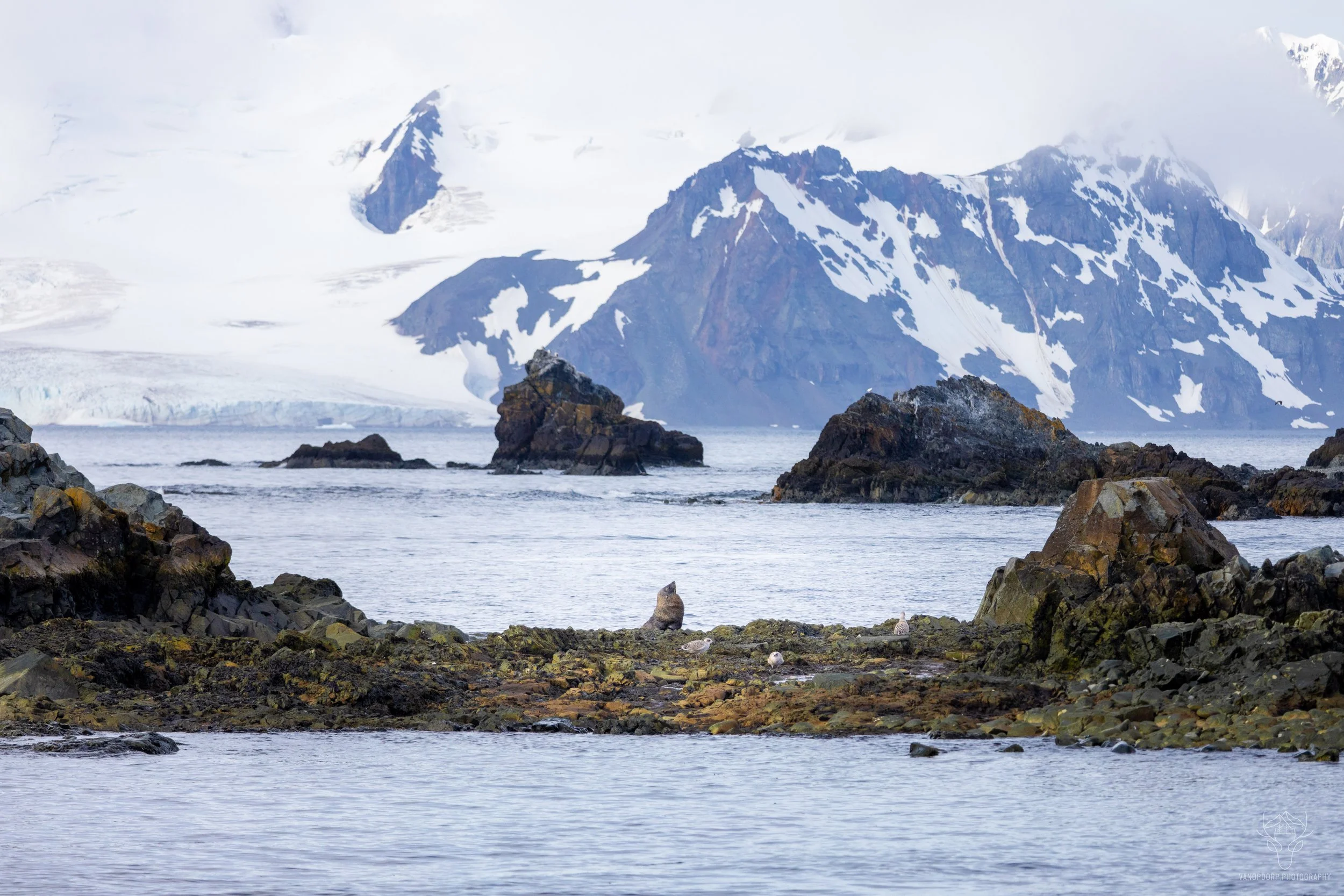 antarctica-44.jpg
