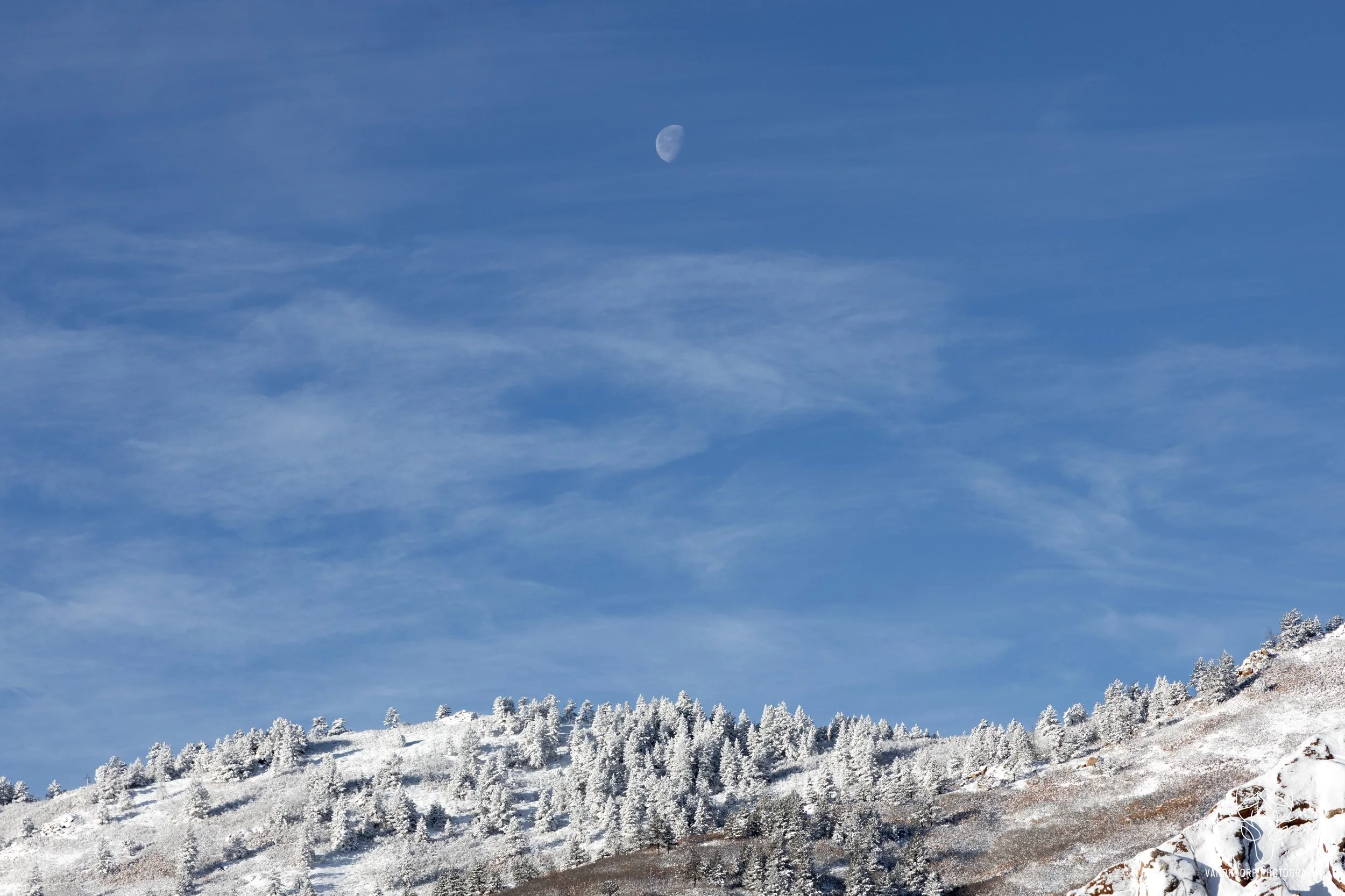 astrophoto-16.jpg