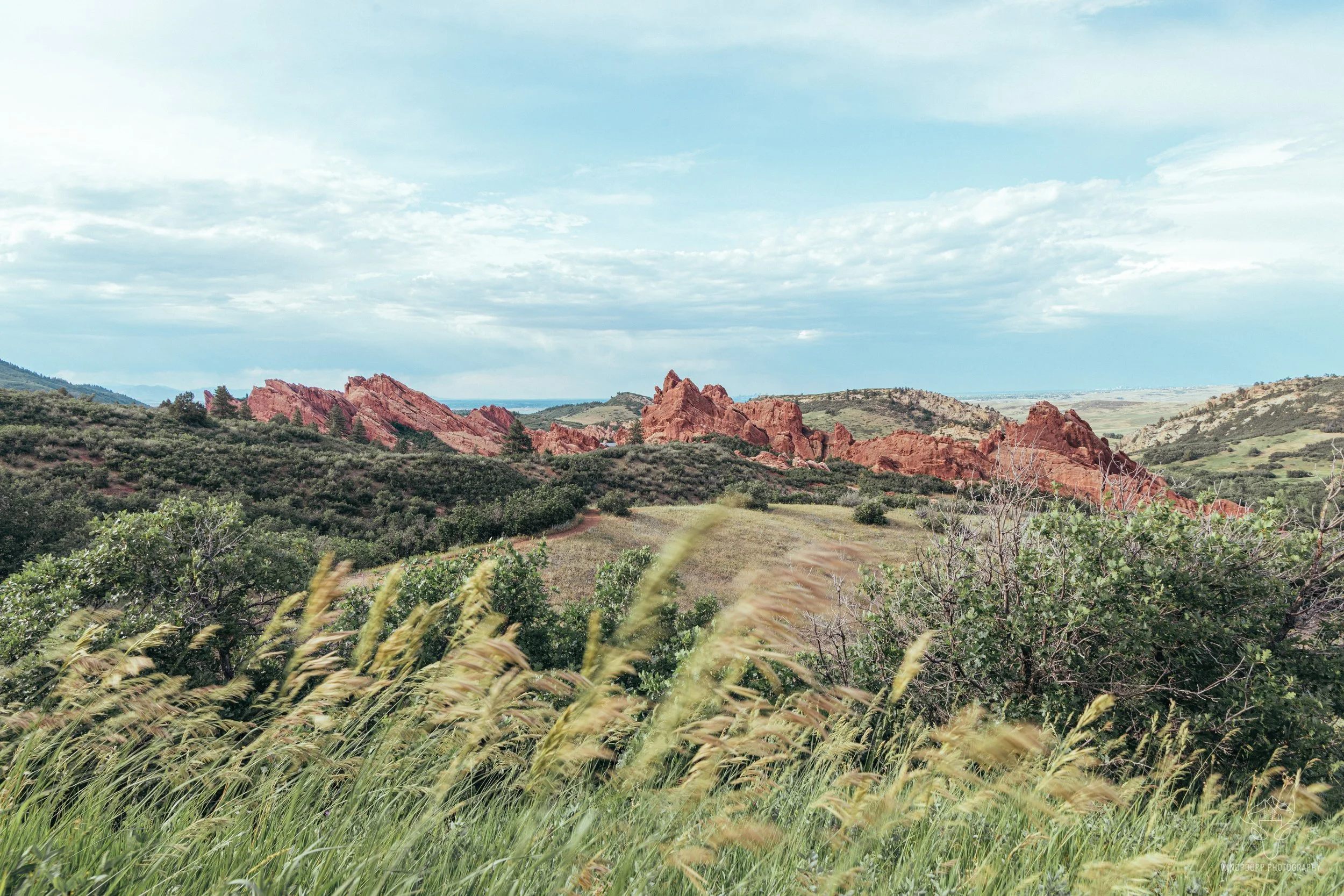 colorado-38.jpg