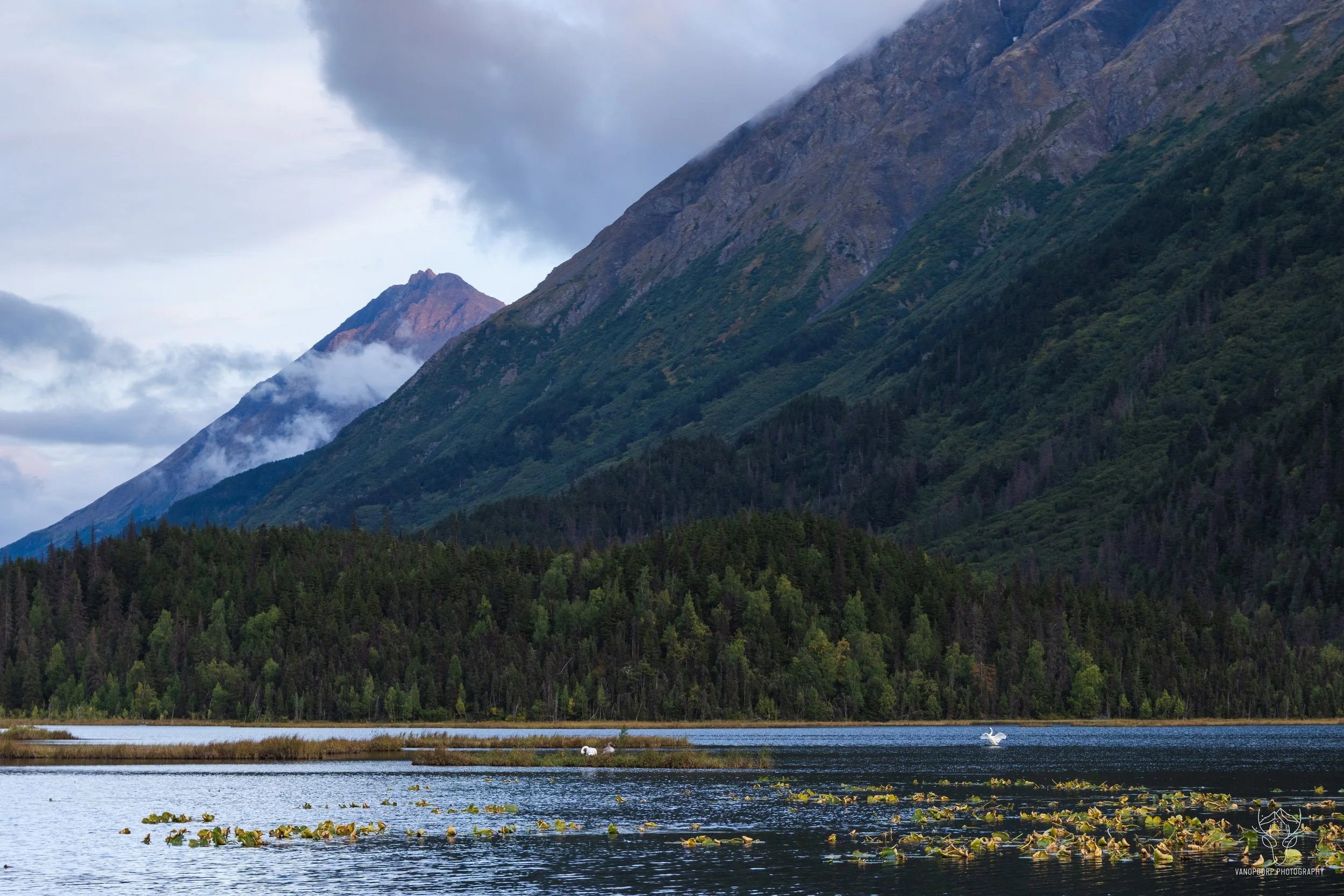 alaska-13.jpg