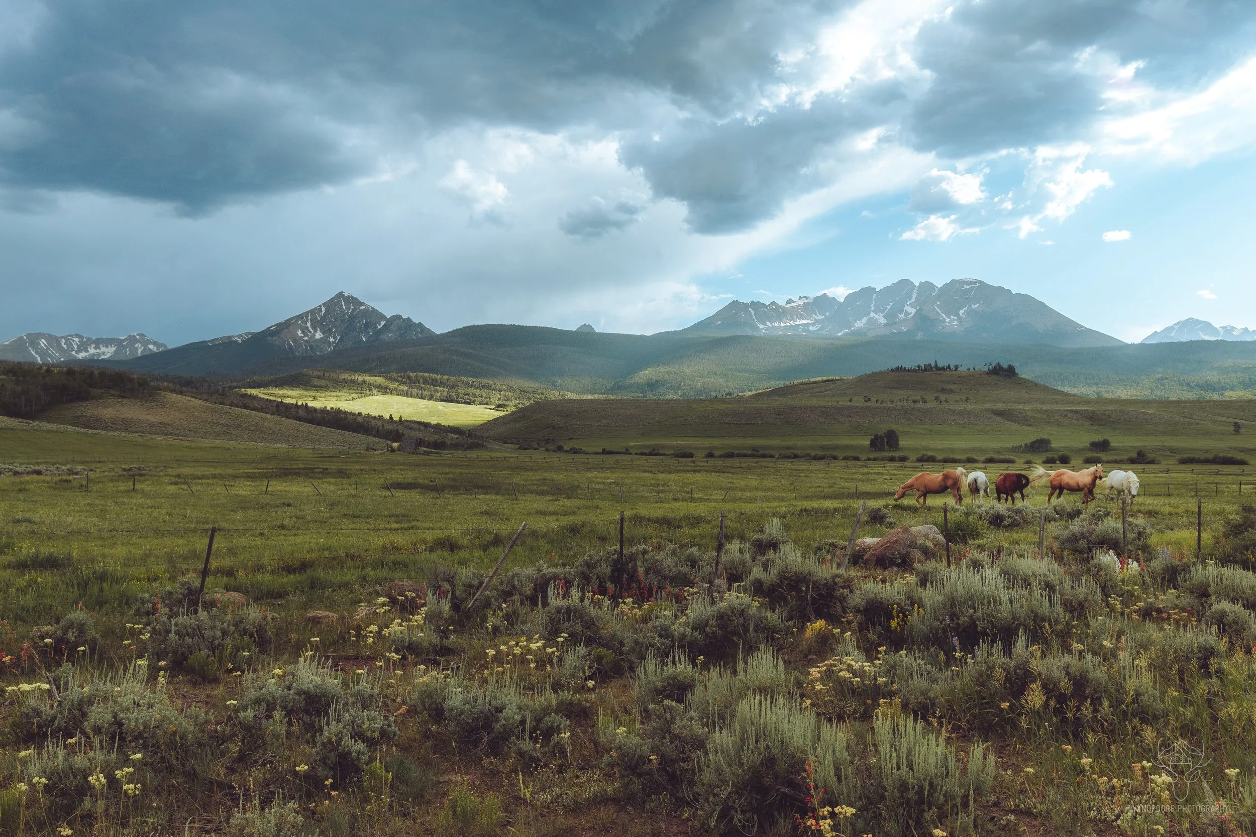 colorado-24.jpg