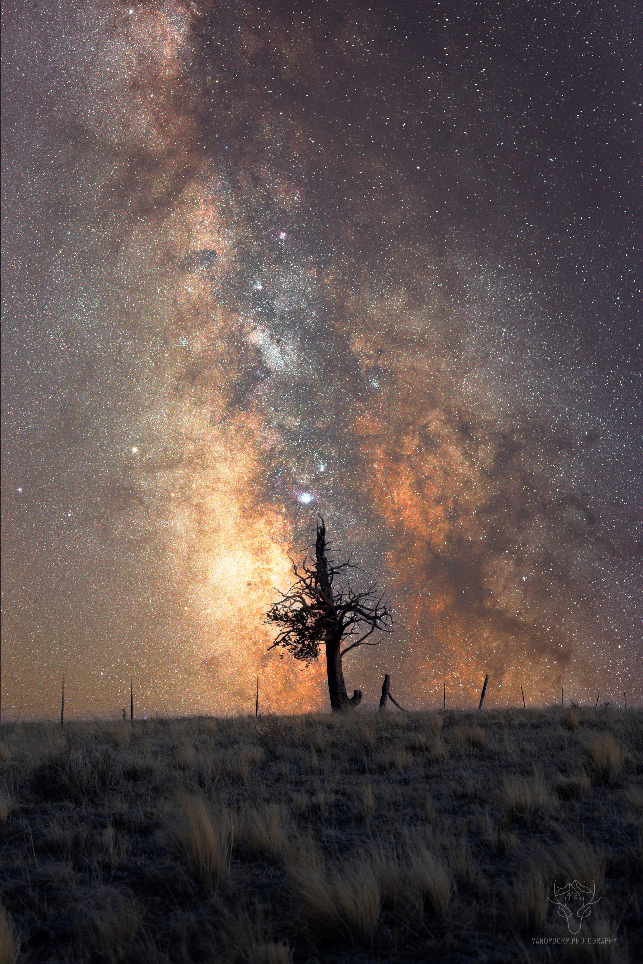 astrophoto-15.jpg