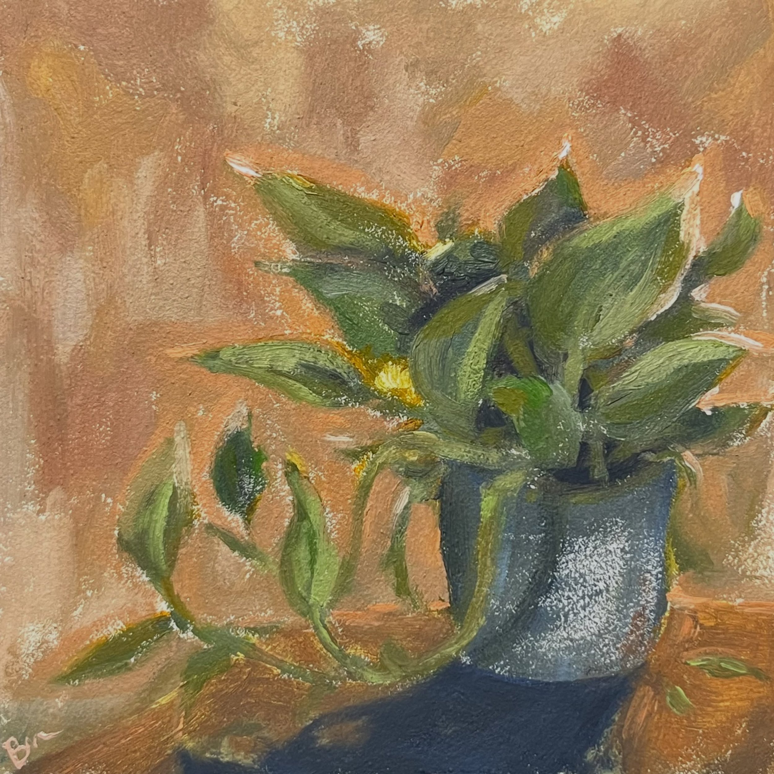 some close ups of this recent painting titled "Plant pot in my studio". I love how the shadow turned out in this one. 
5" x 5" oil painting on wood panel 
#plantpainting #painting #oilpaintingartist #artist