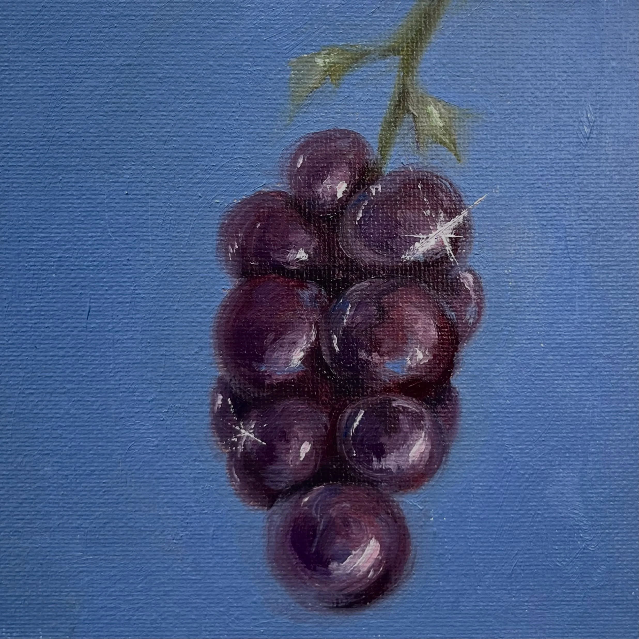 grape
5" x 5" oil painting on canvas board
$85 dm if interested 
#oilpainting #grape #whimsy #artwork