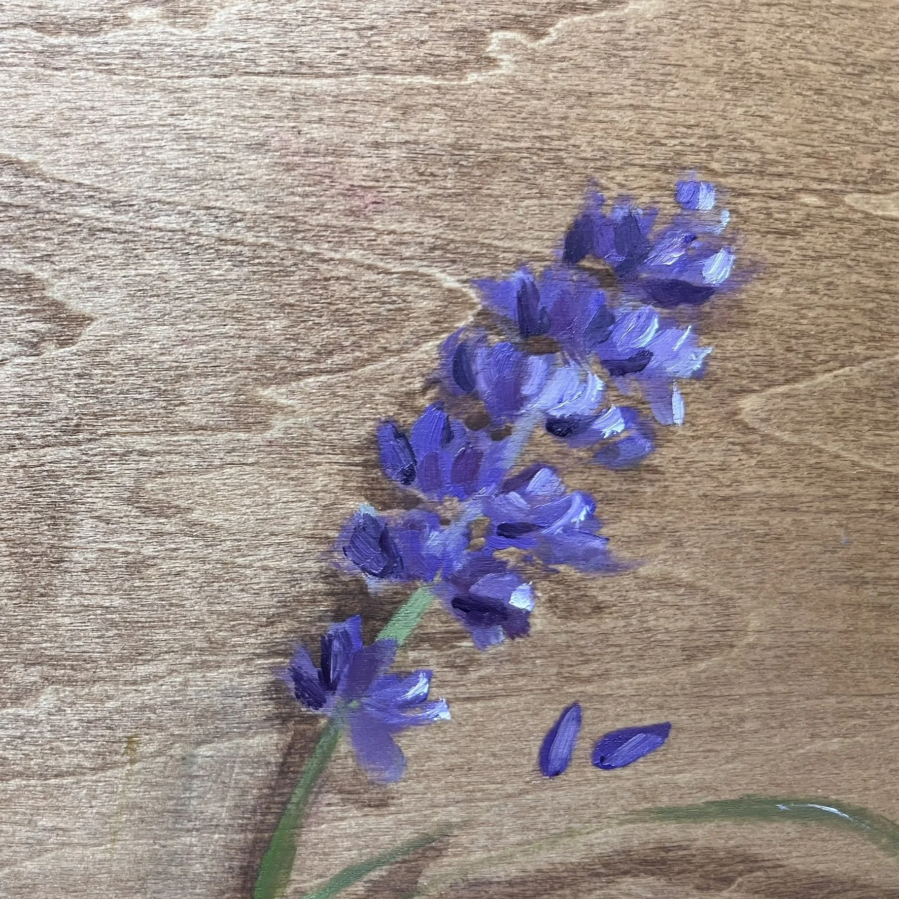 IMG_3546.JPEG