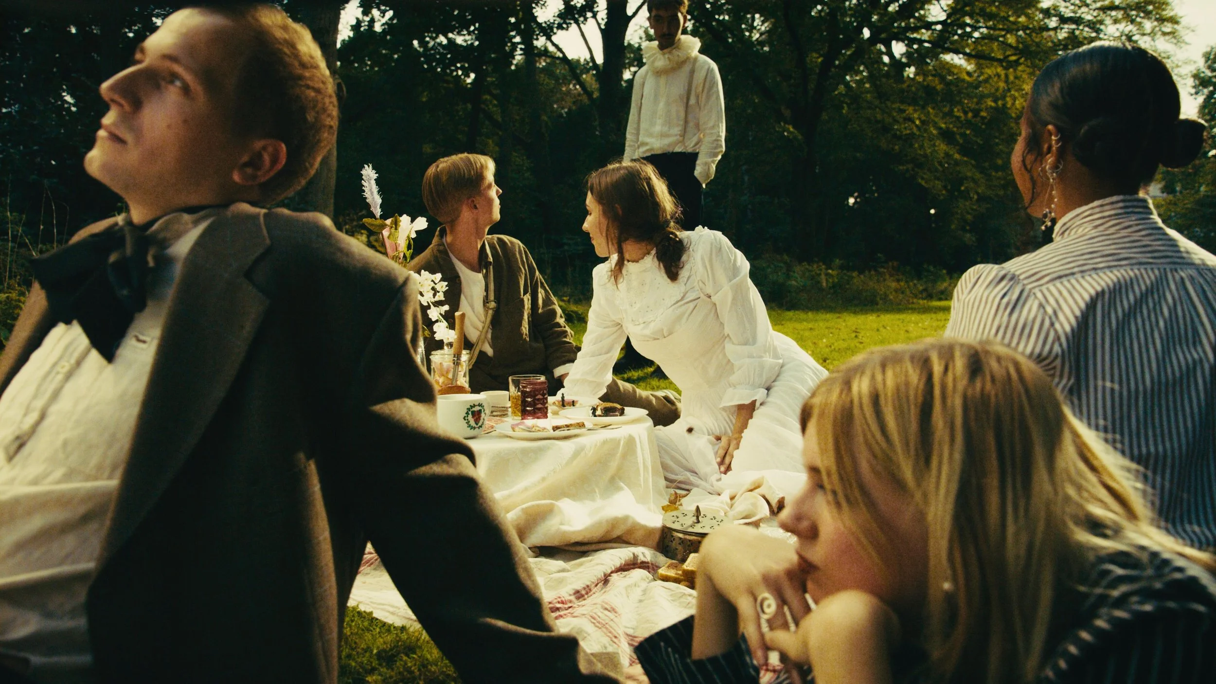 A group of people having a picnic outdoors in a park during evening, with trees and sunset in the background. Some are sitting on a blanket, and there are drinks and food on the table. A woman in a white dress appears to be the focus of the gathering.