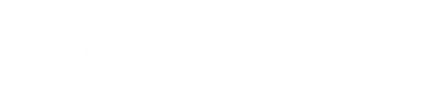 White logo with a stylized globe icon followed by the word 'Jelden' in bold.