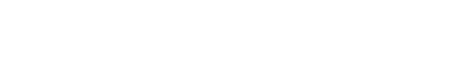 Village Design Group