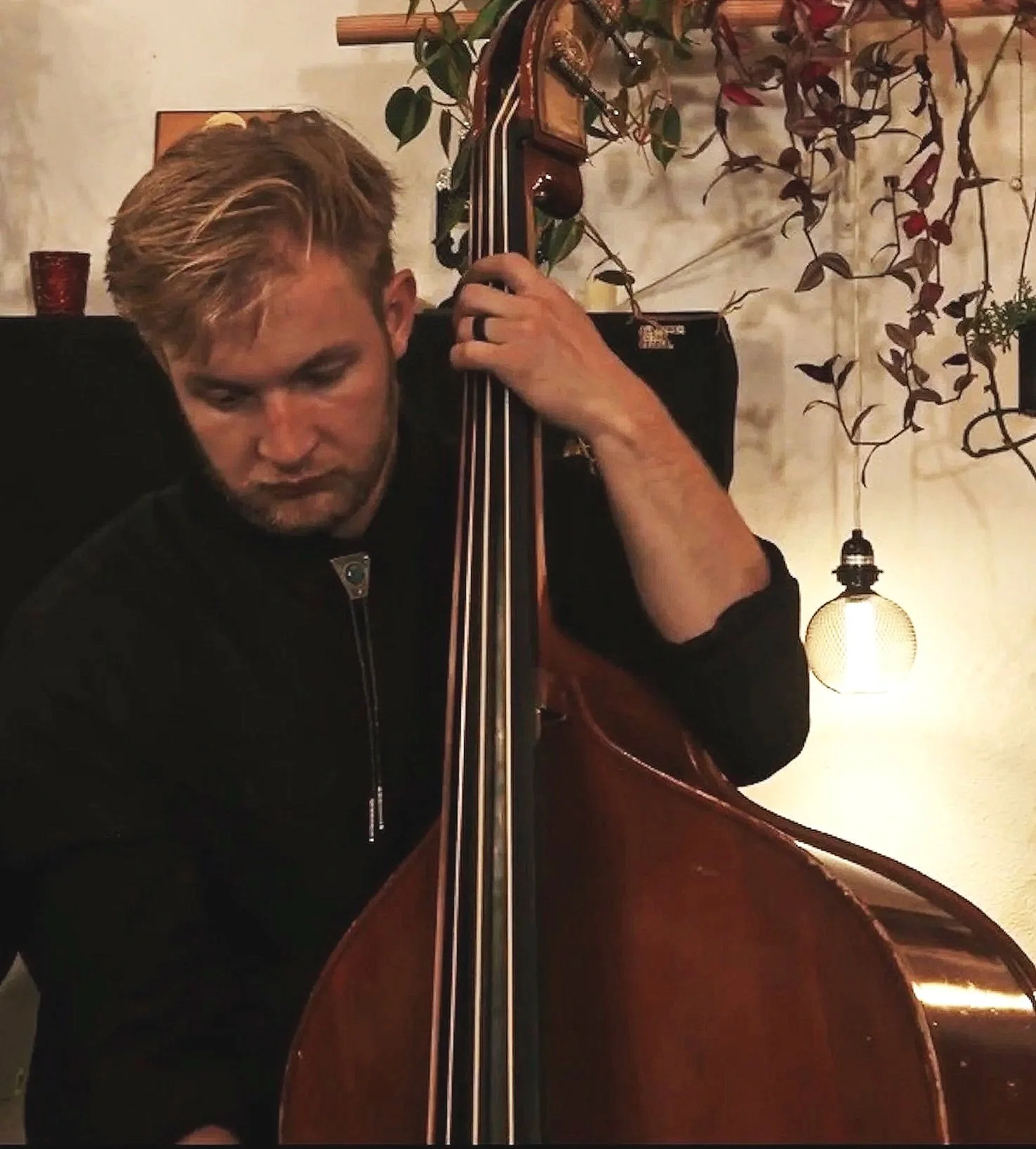 A man with light brown hair playing a double bass in a dimly lit room decorated with houseplants and warm lighting.