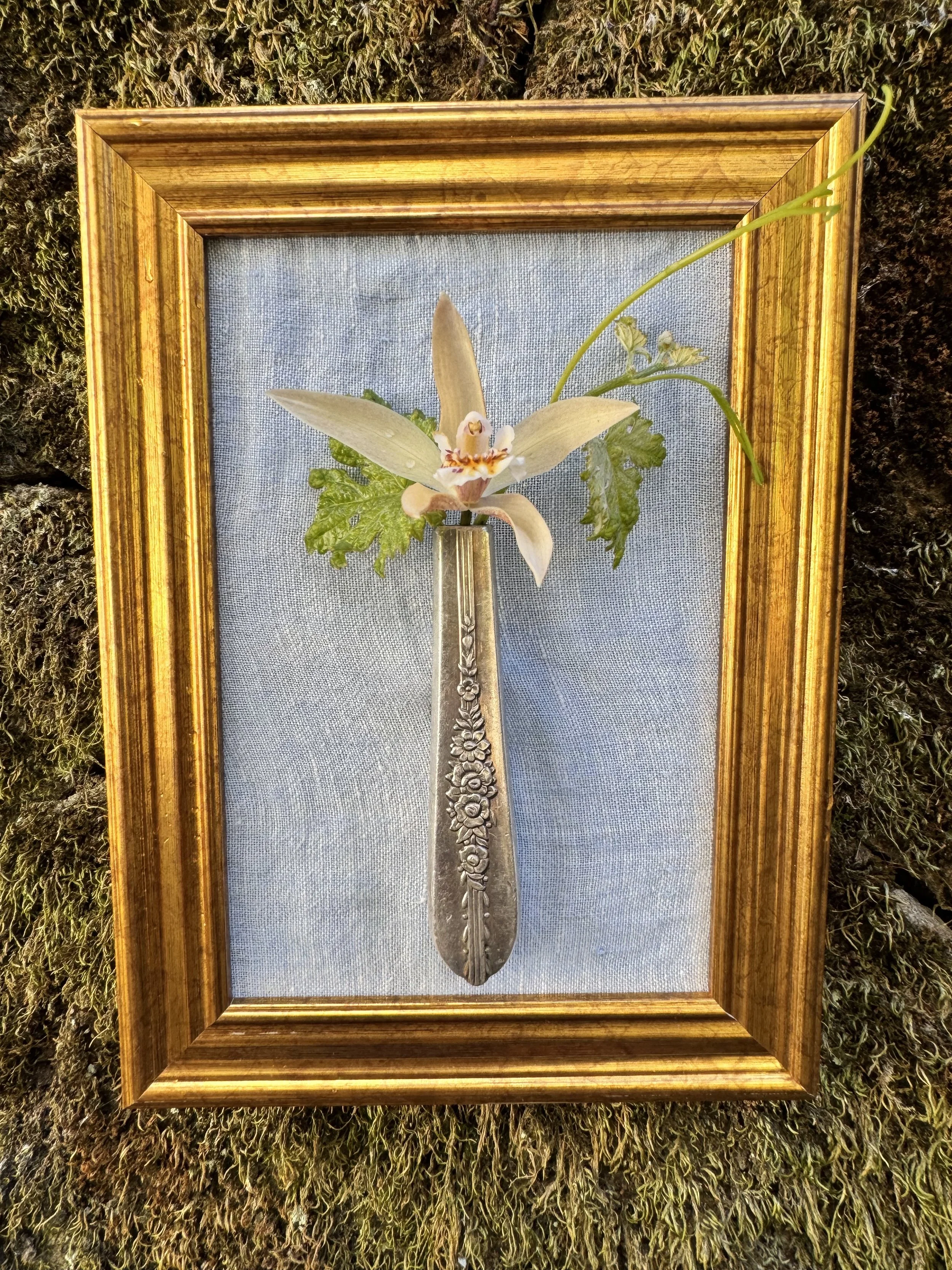 Royal Rose; Vintage Collection