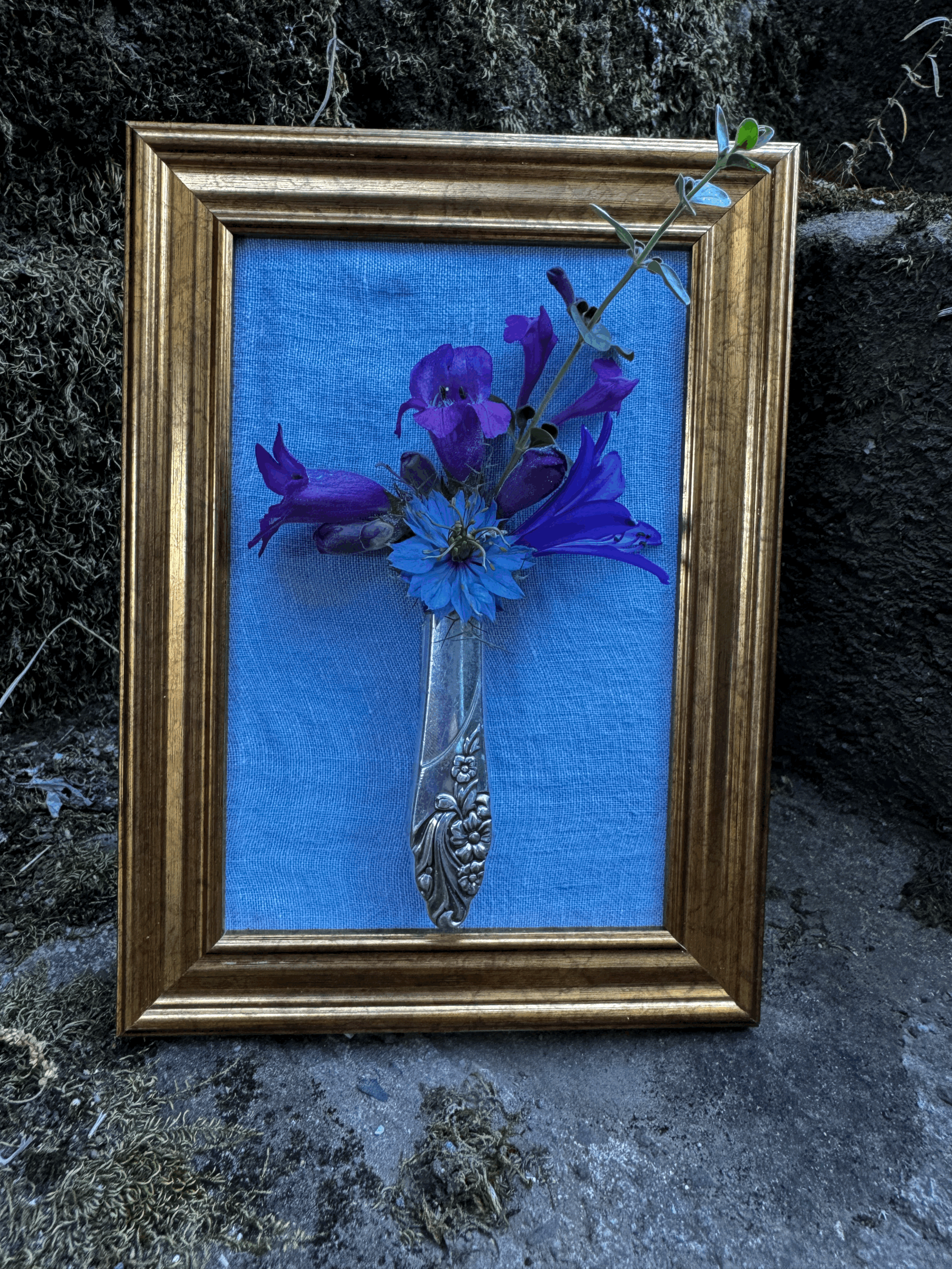 tempImageAC9zOH.gif