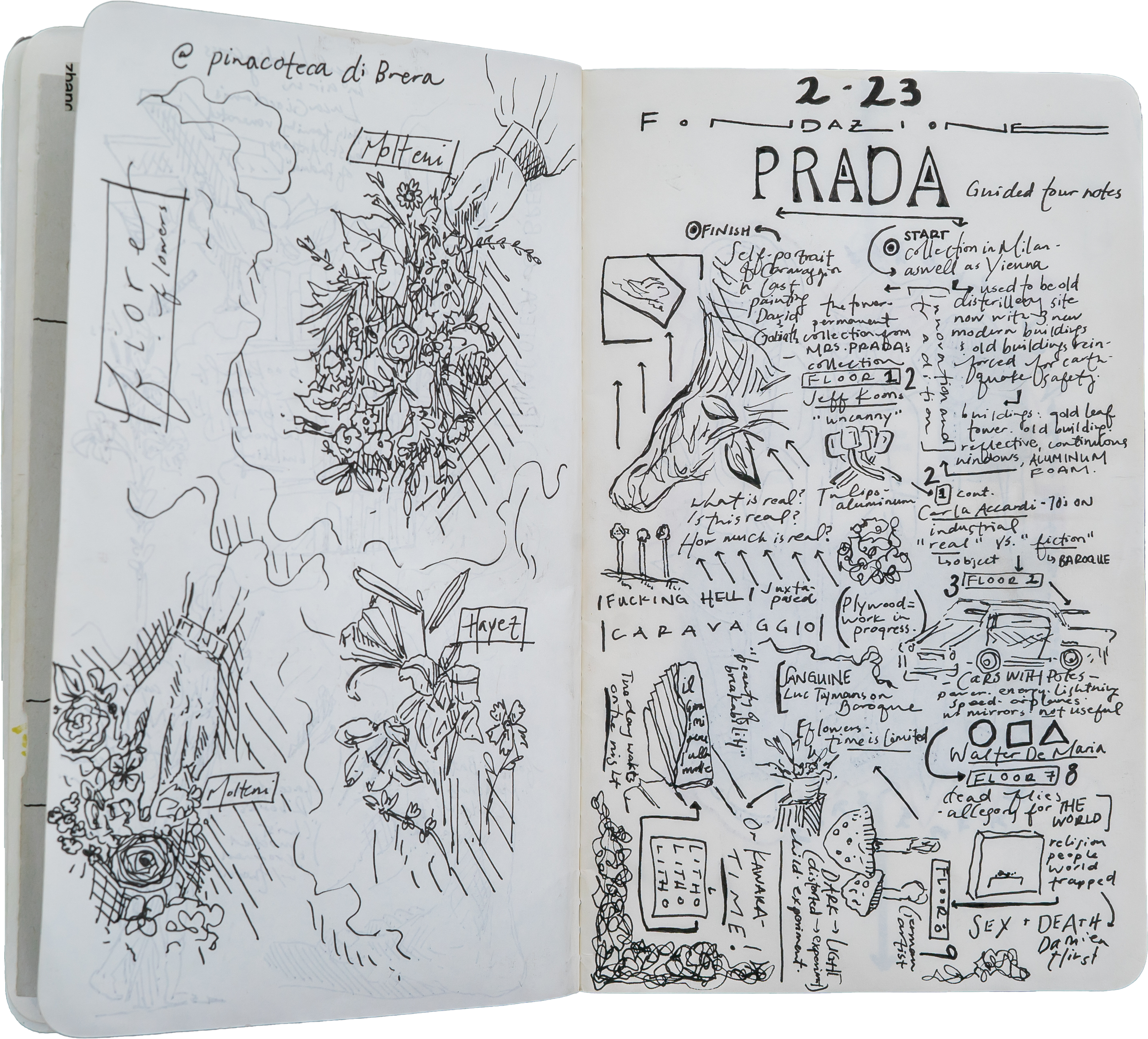 sketches_website-23.png